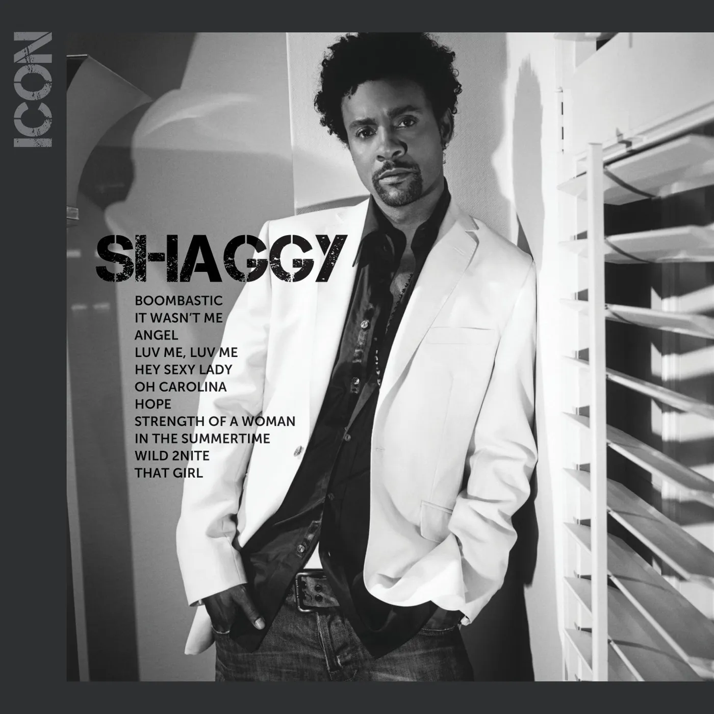 Shaggy ICON CD