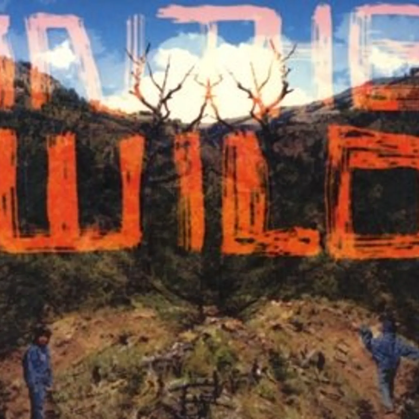 Falty DL IN THE WILD CD