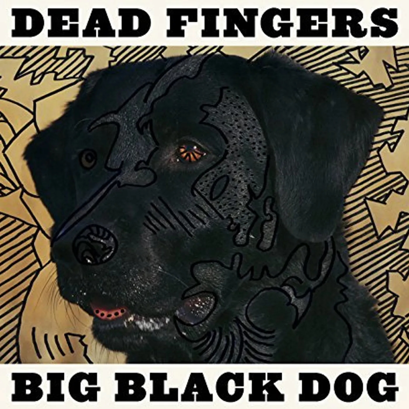 Dead Fingers BIG BLACK DOG CD