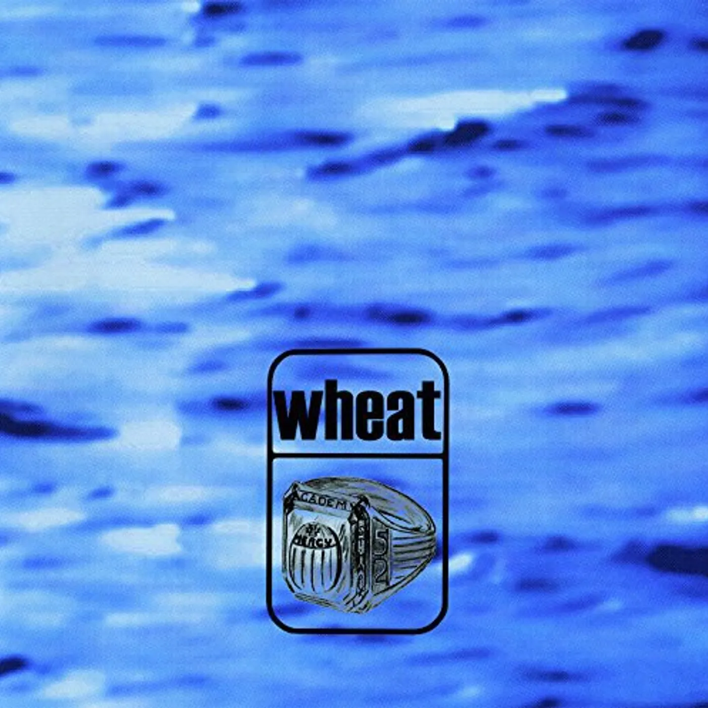 Wheat Medeiros Vinyl Record