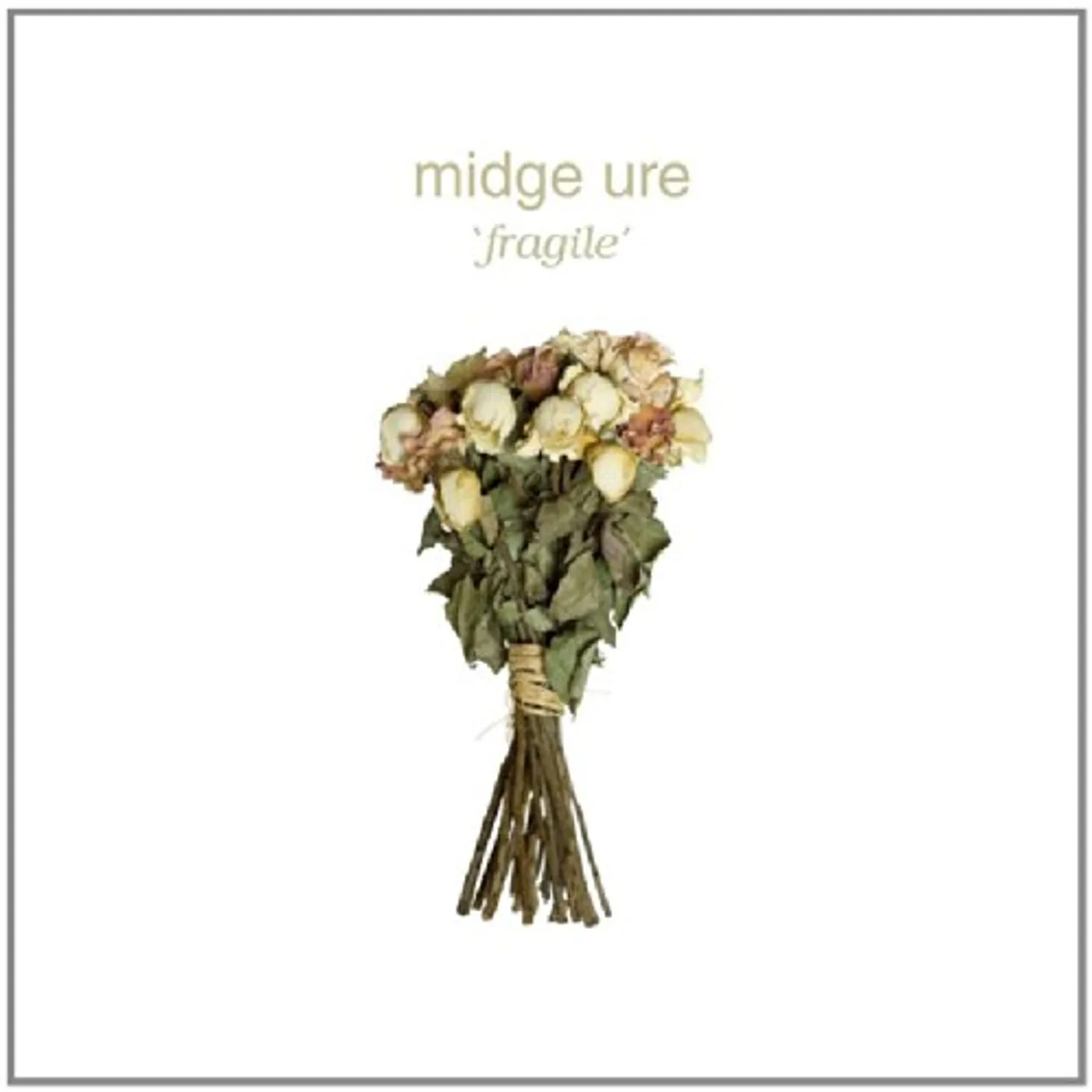 Midge Ure FRAGILE CD
