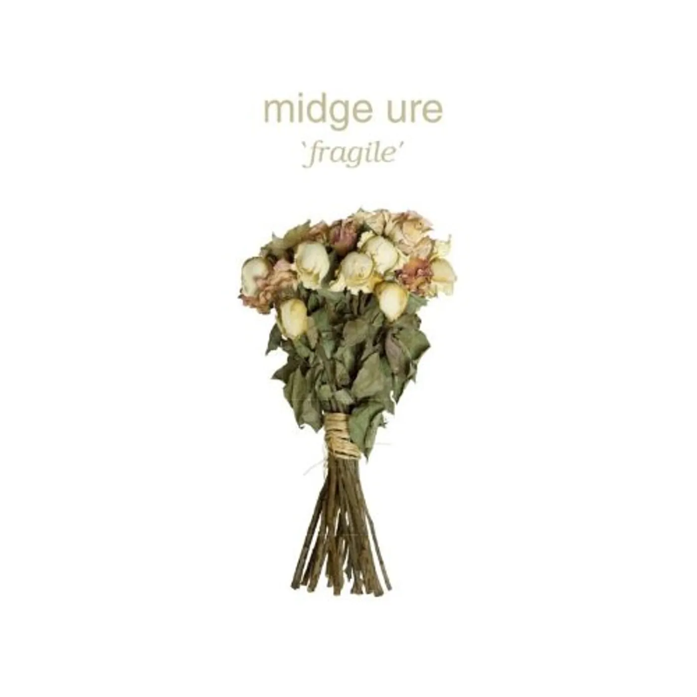 Midge Ure Fragile Vinyl Record