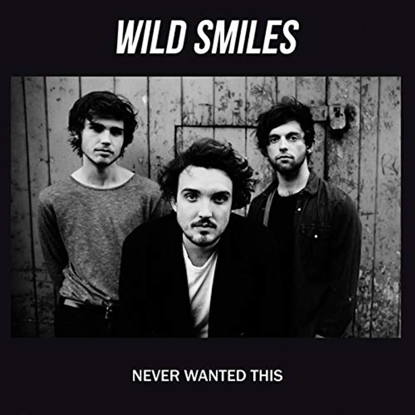 Wild Smiles Never Wanted This Vinyl Record