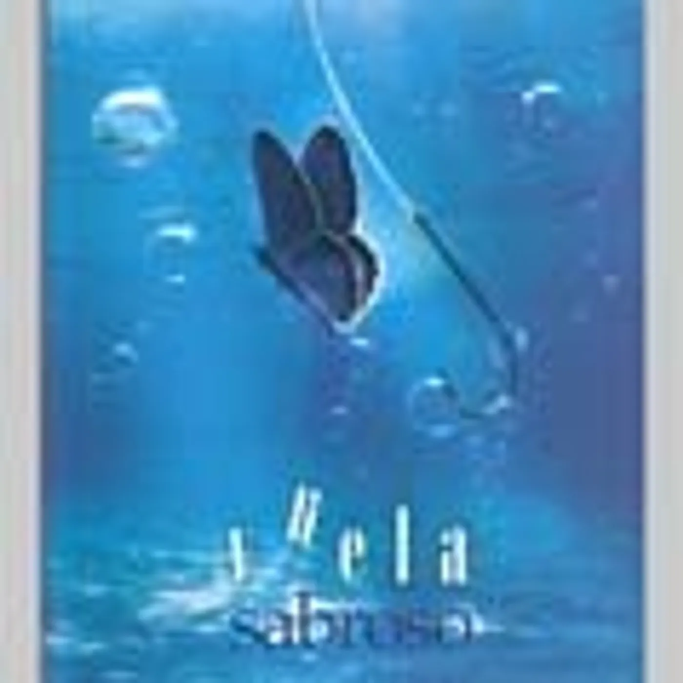 Sabroso 929223 VUELA CD