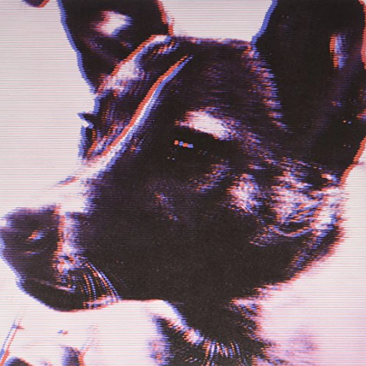 Panthera Krause Laika Vinyl Record