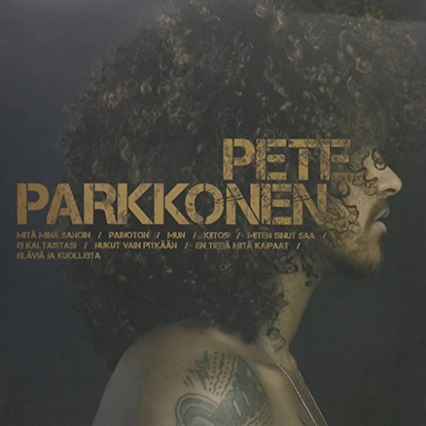 Pete Parkkonen Vinyl Record