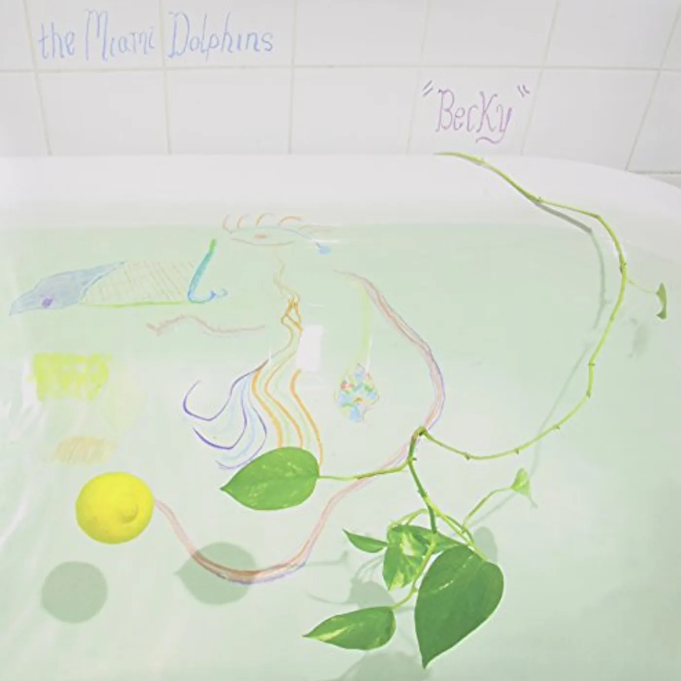 The Miami Dolphins Becky Vinyl Record