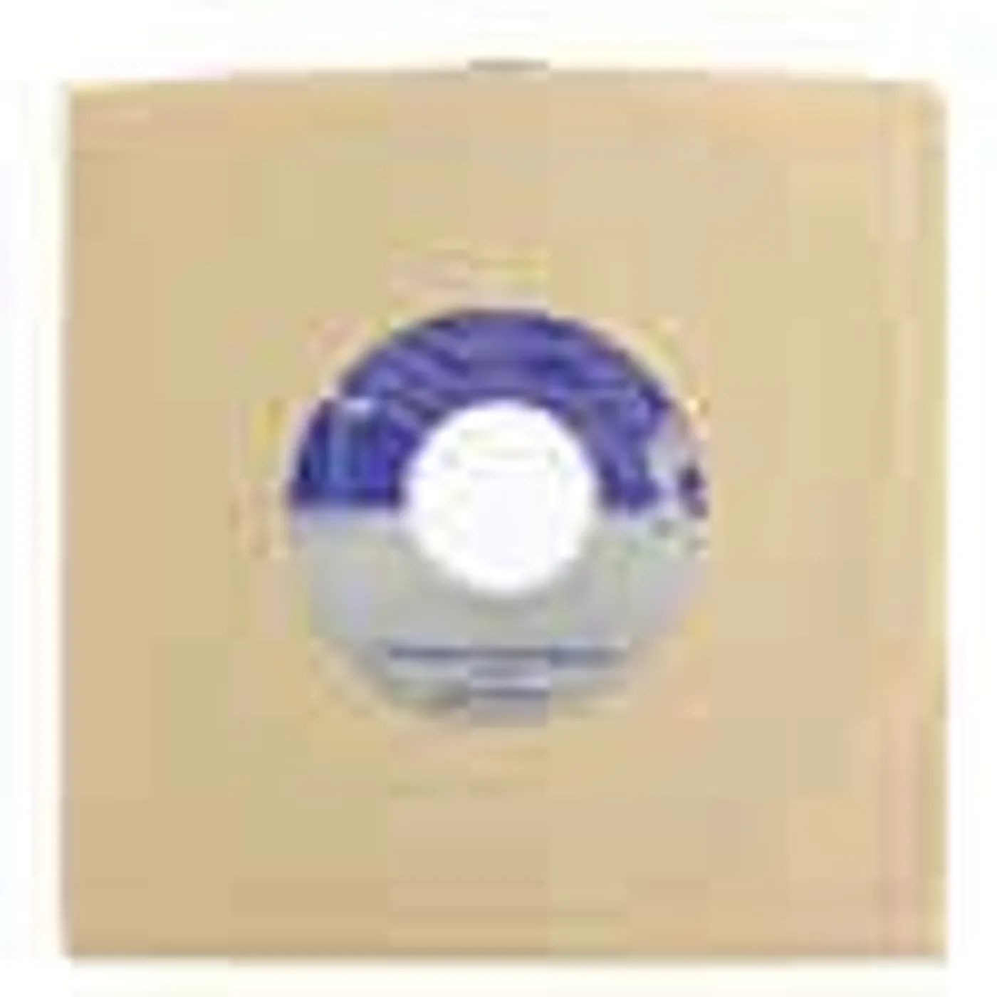 Jaye Jayle ROAD TO NEW MEXICO Vinyl Record