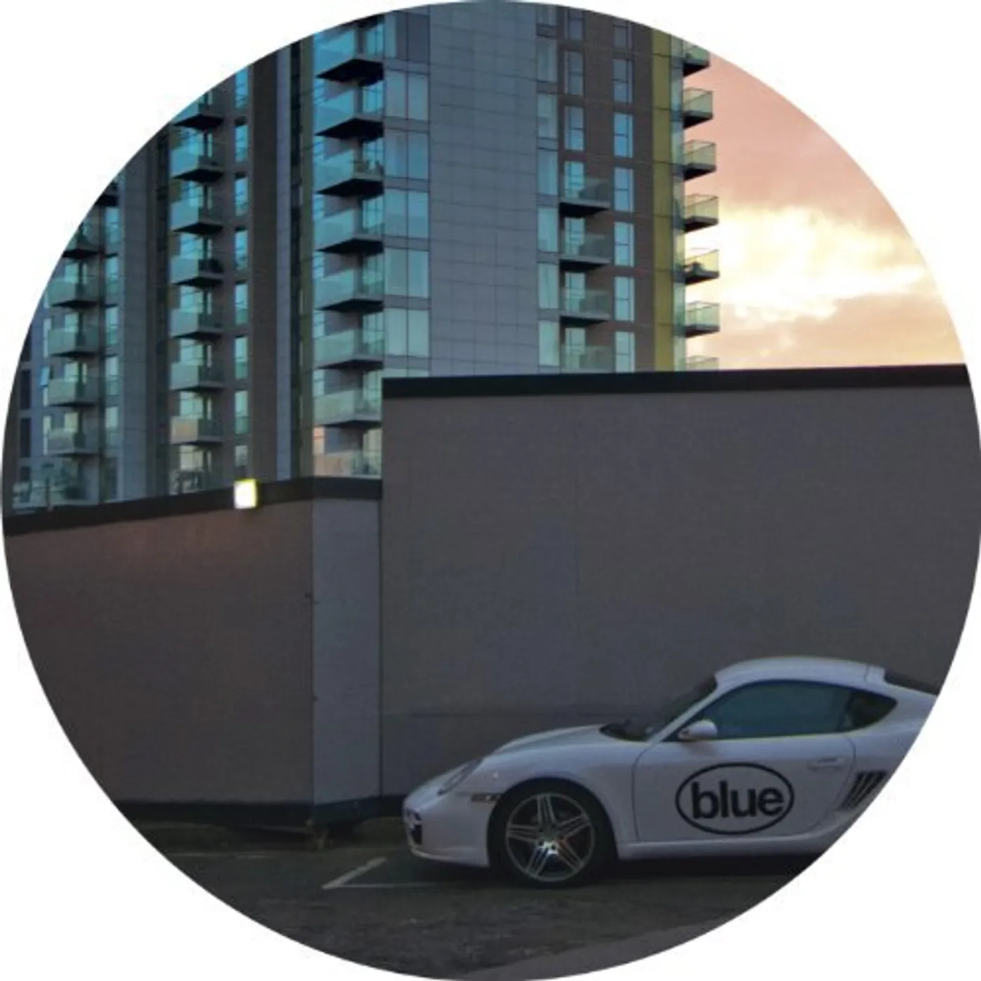 Sully Blue Vinyl Record