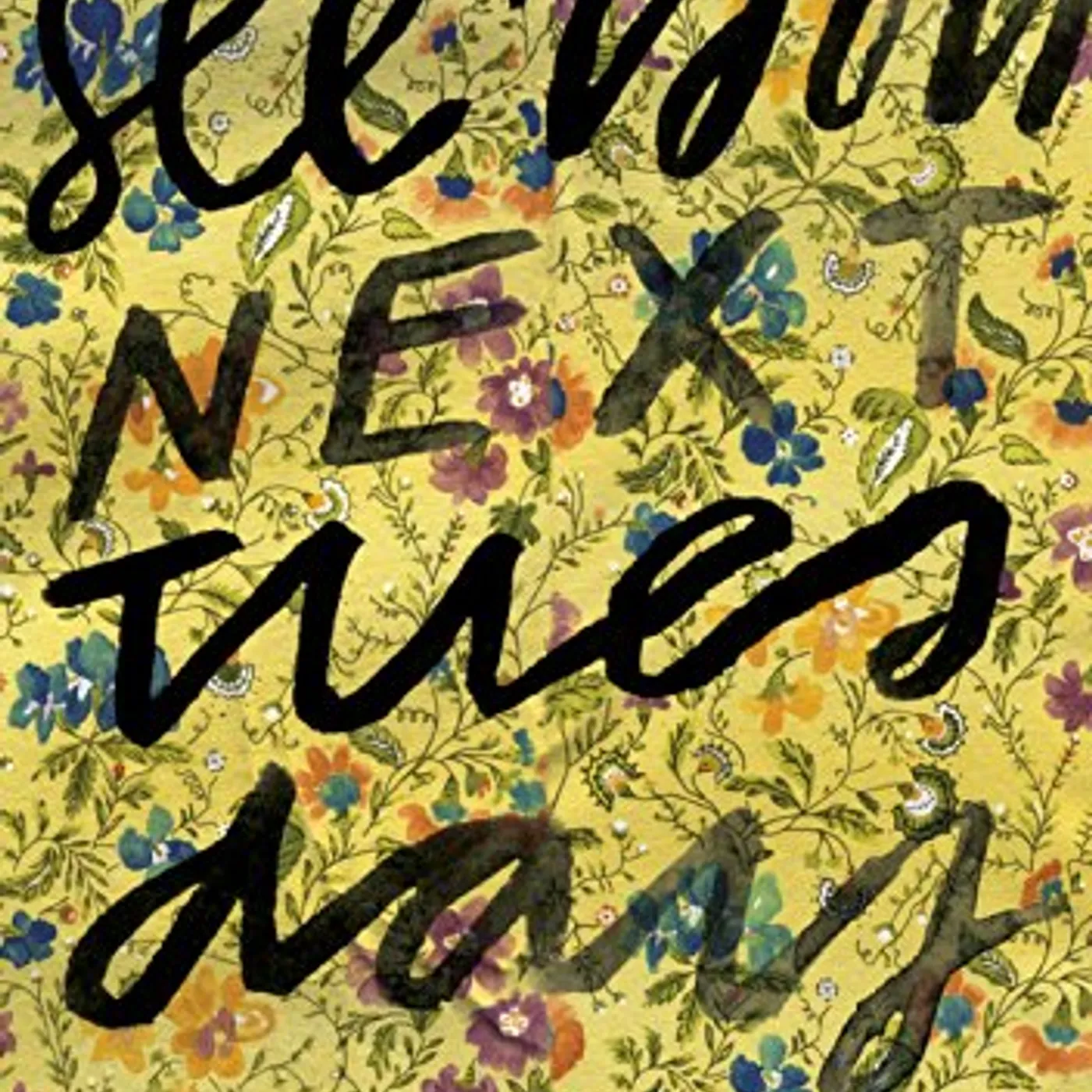 See You Next Tuesday DVD