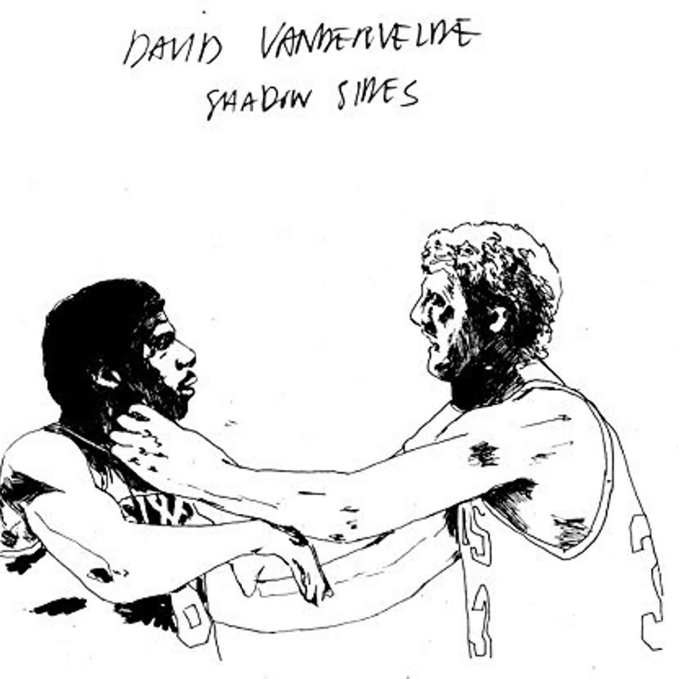 David Vandervelde Shadow Sides Vinyl Record