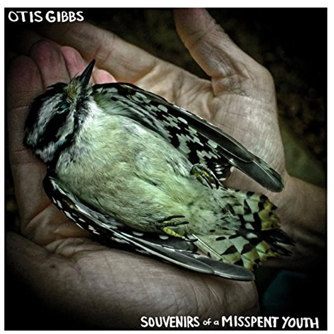 Otis Gibbs SOUVENIRS OF A MISSPENT YOUTH CD