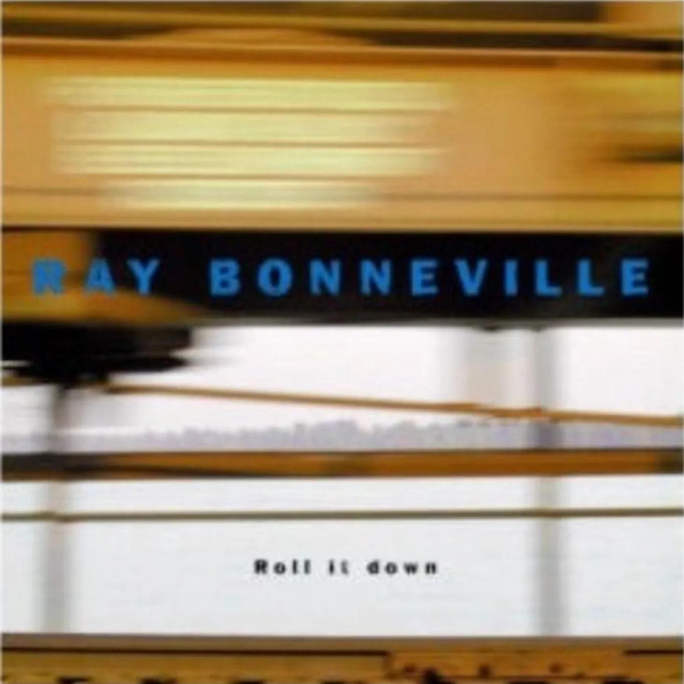 Ray Bonneville ROLL IT DOWN CD