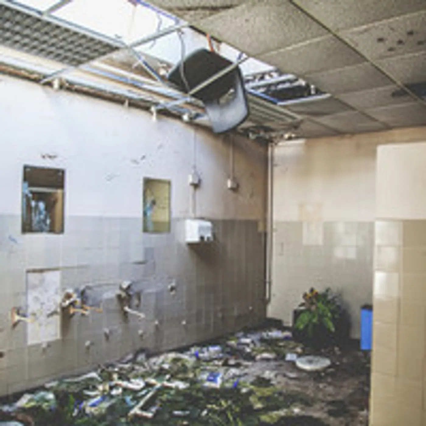 Bad Breeding BURN THIS FLAG Vinyl Record - UK Release