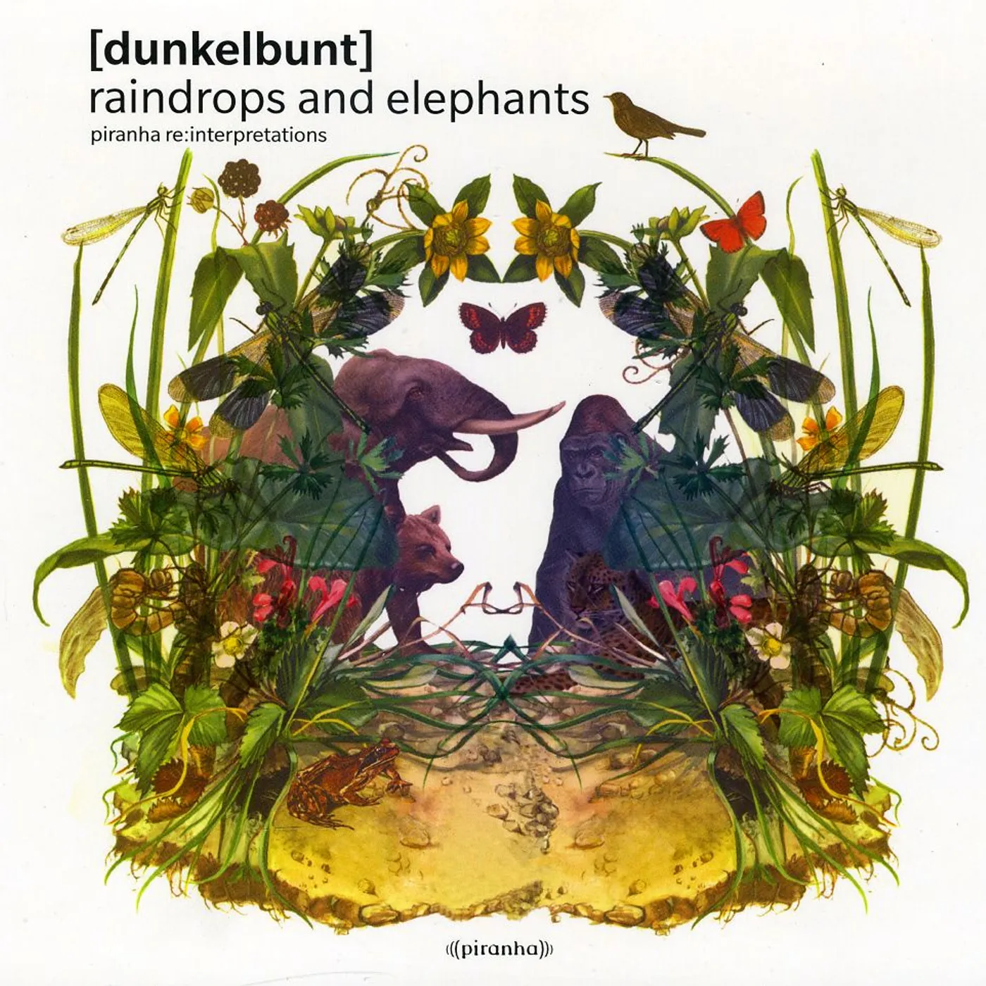 Dunkelbunt RAINDROPS & ELEPHANTS CD