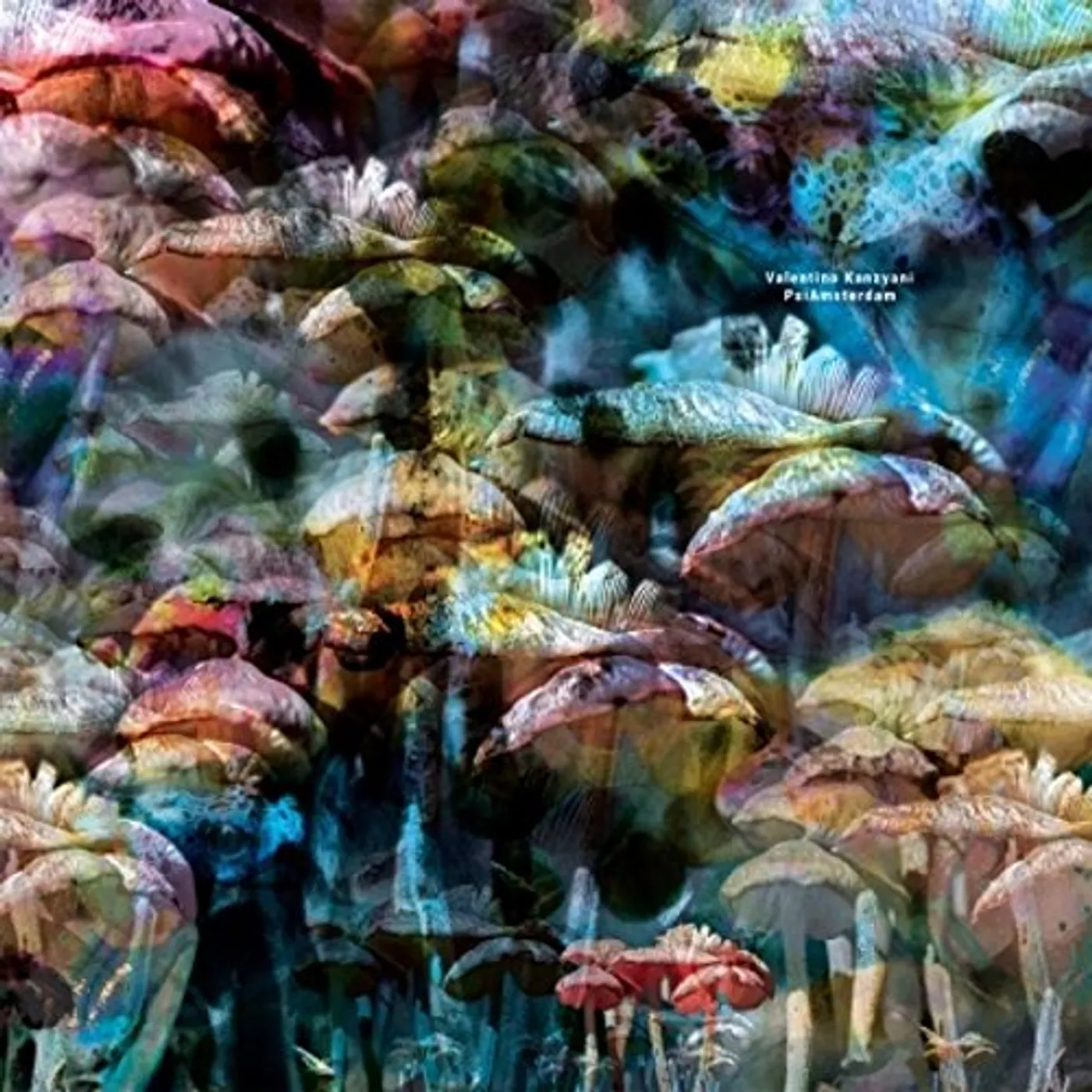 Valentino Kanzyani PsiAmsterdam Vinyl Record