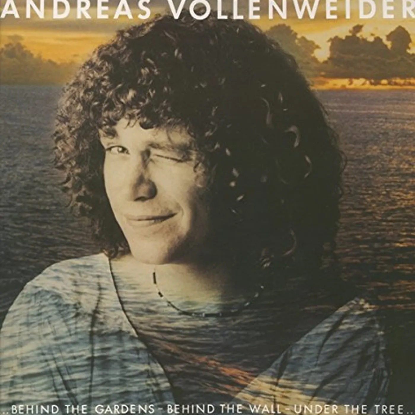 Andreas Vollenweider BEHIND THE GARDENS BEHIND THE WALL-UNDER THE TREE Vinyl Record