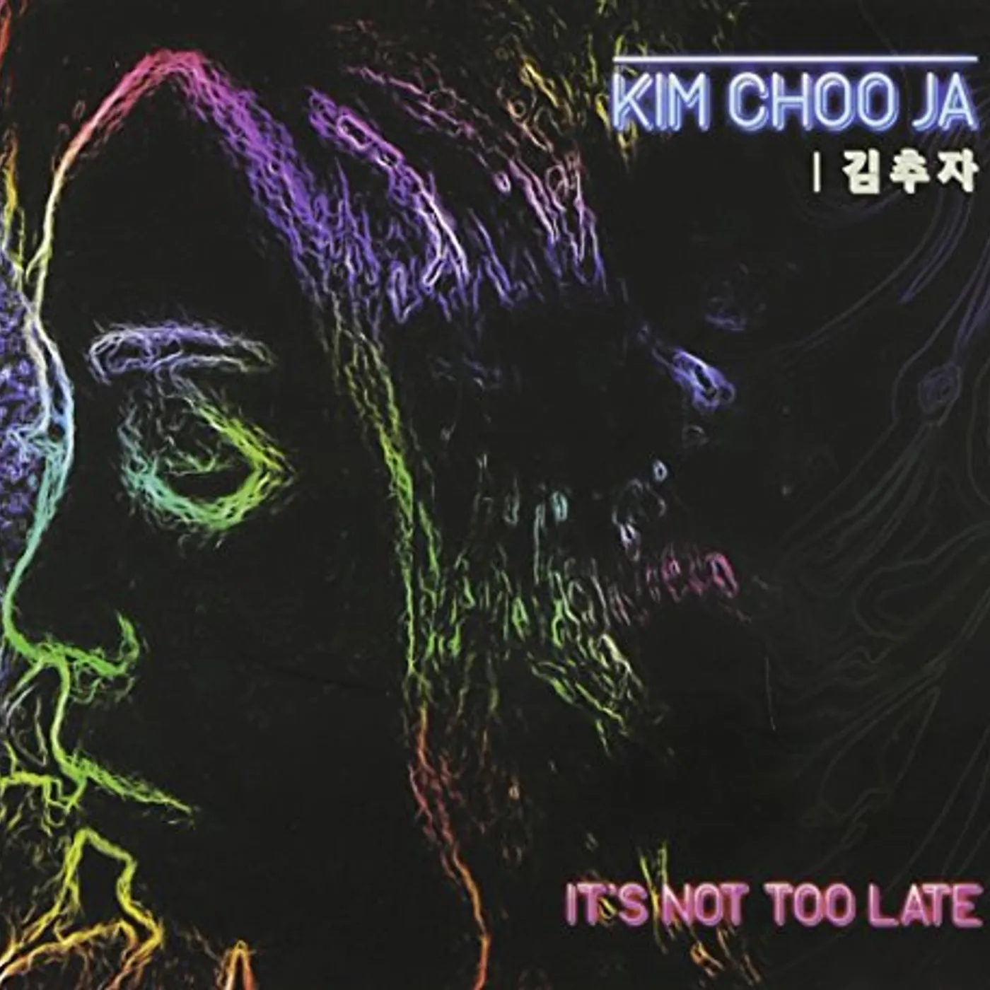 Kim Choo Ja IT'S NOT TOO LATE CD