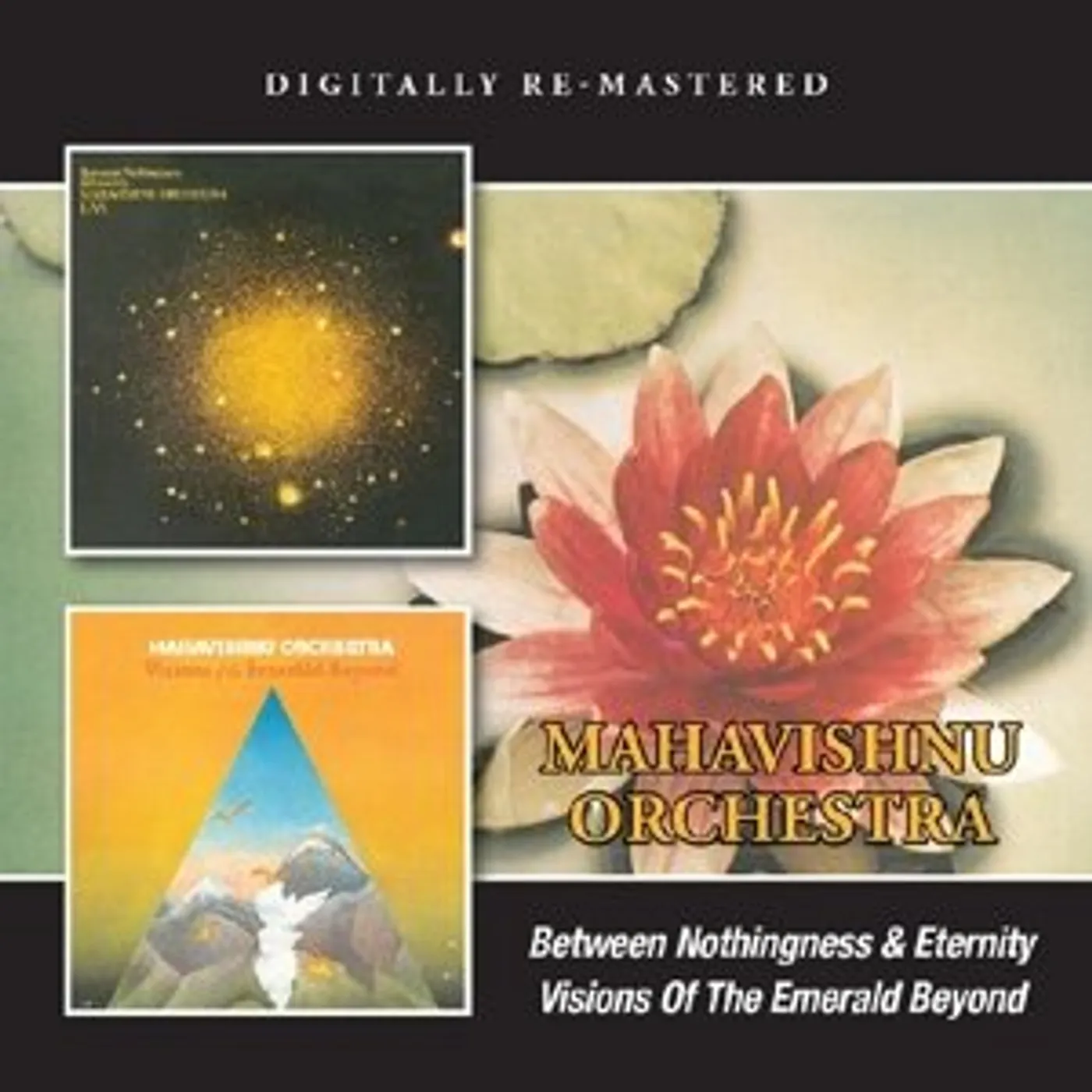 Mahavishnu Orchestra BETWEEN NOTHINGNESS & ETERNITY/VISIONS CD