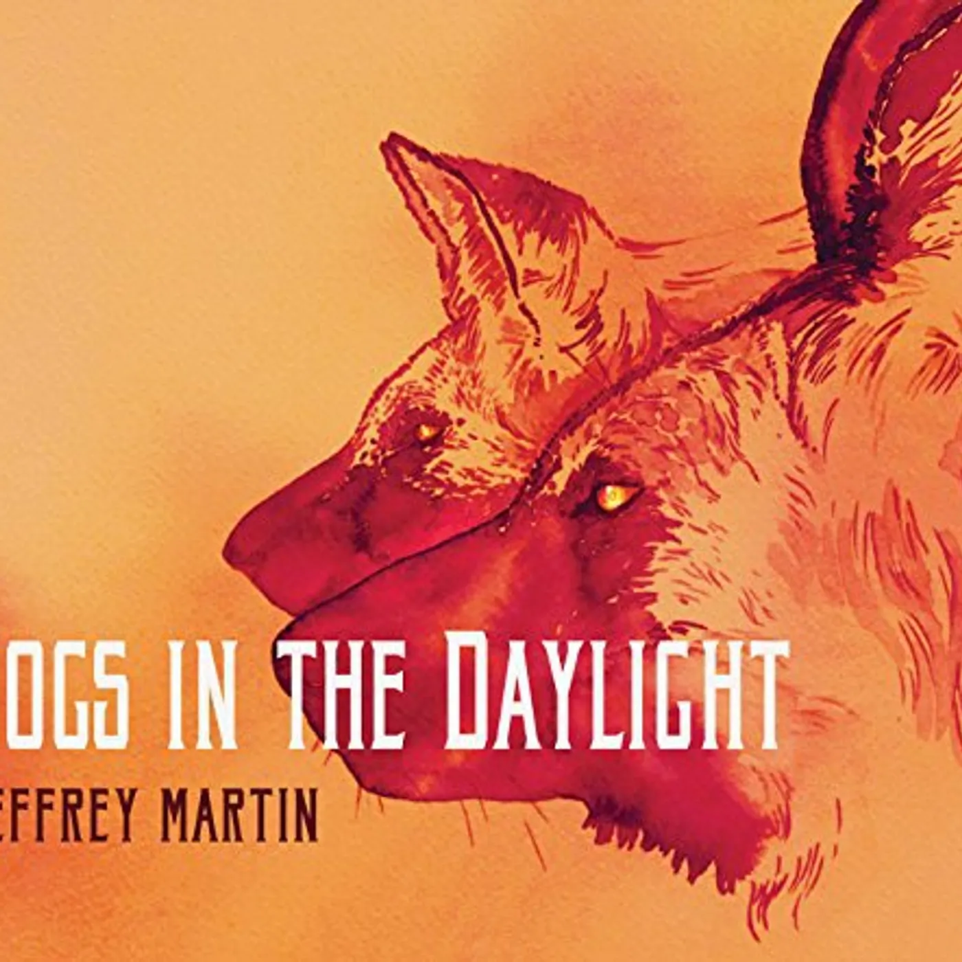 Jeffrey Martin DOGS IN THE DAYLIGHT CD