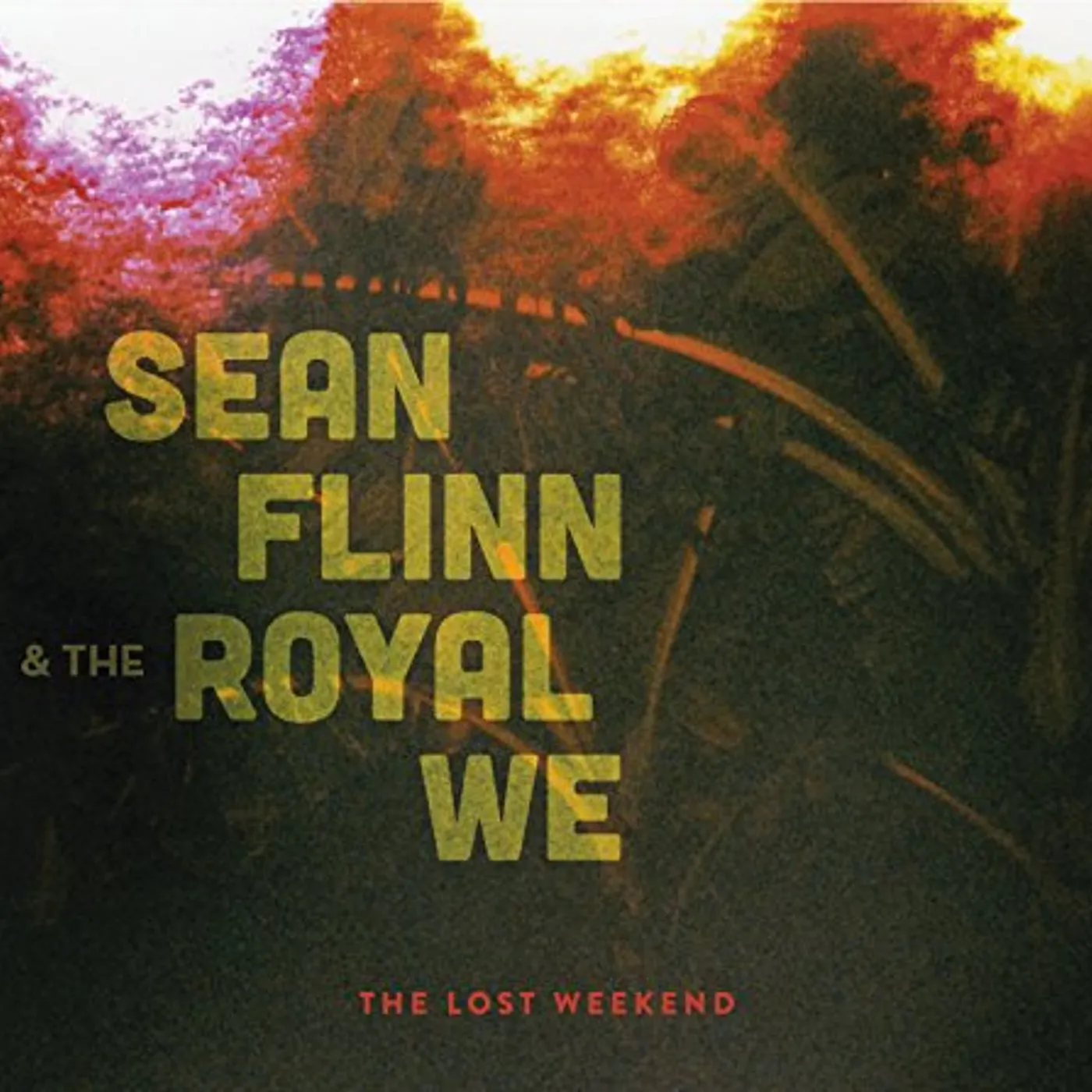 Sean Flinn & The Royal We LOST WEEKEND Vinyl Record