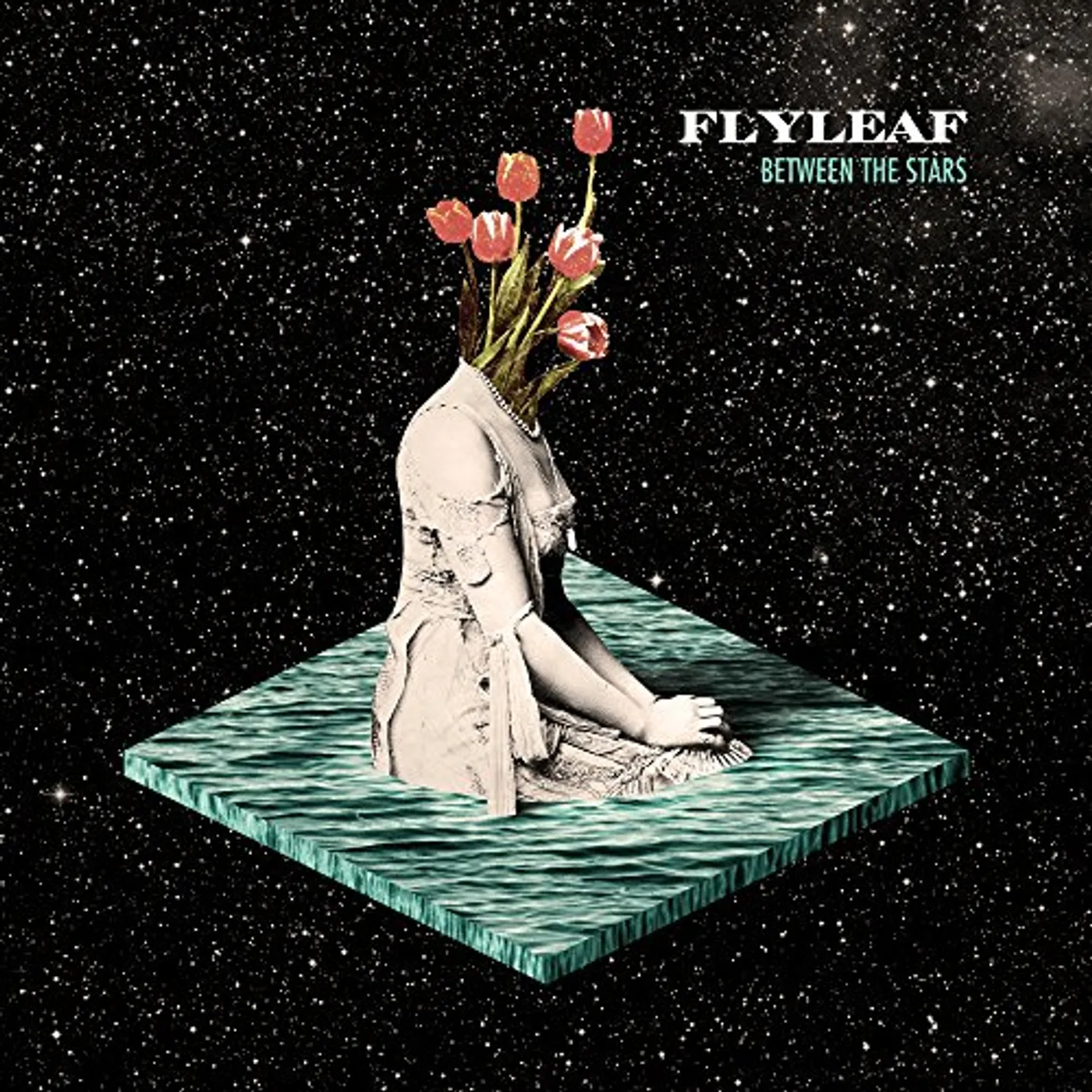 Flyleaf Between The Stars Vinyl Record
