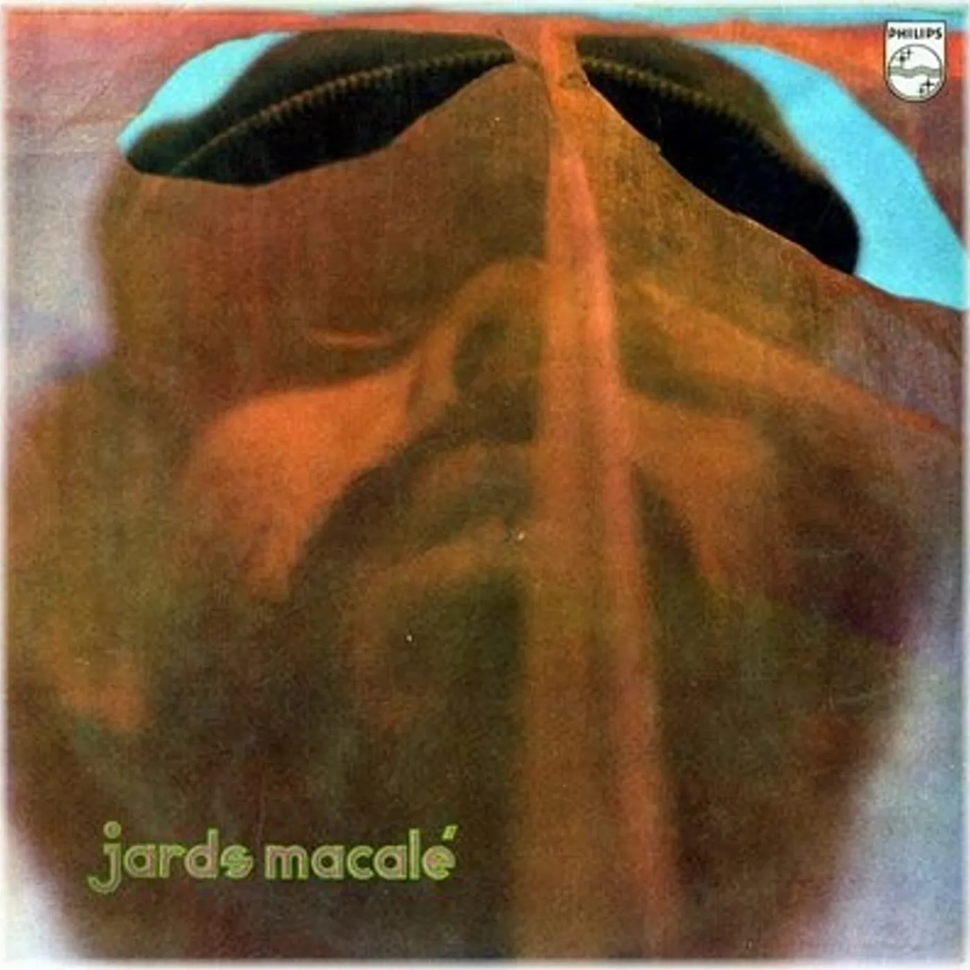 Jards Macalé Vinyl Record