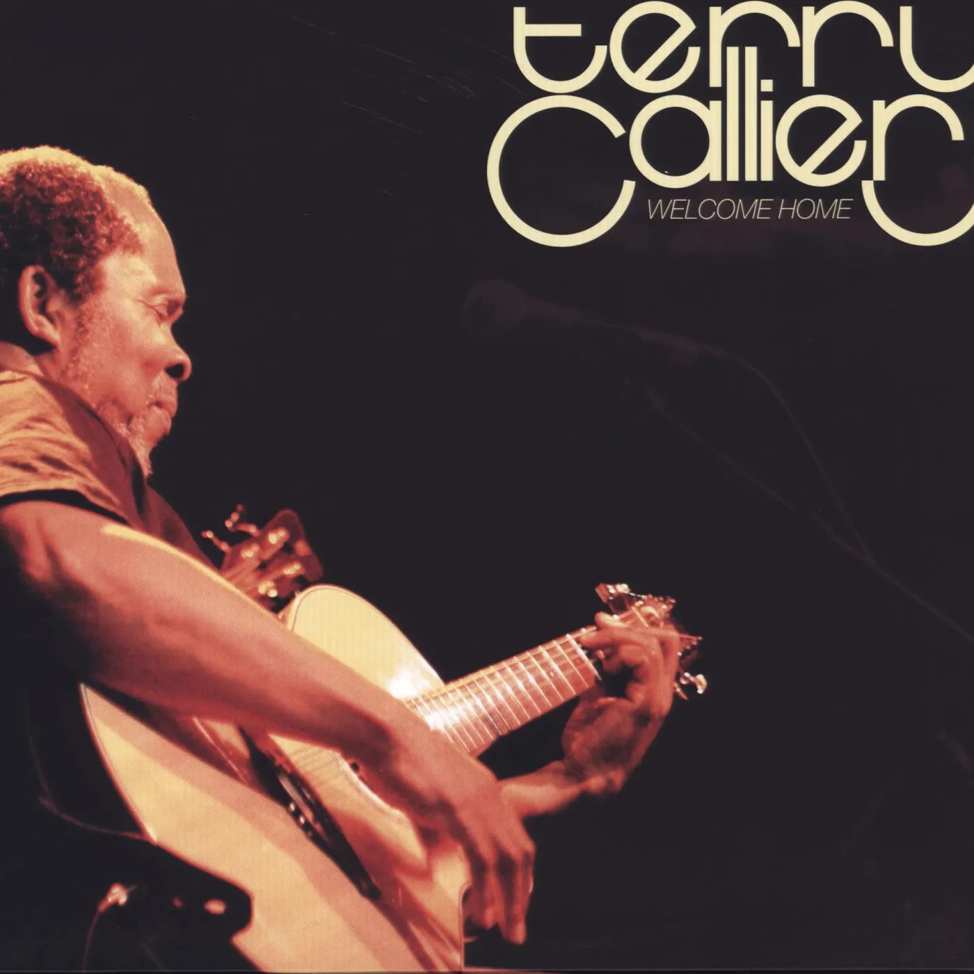 Terry Callier LOOKIN OUT (Vinyl)