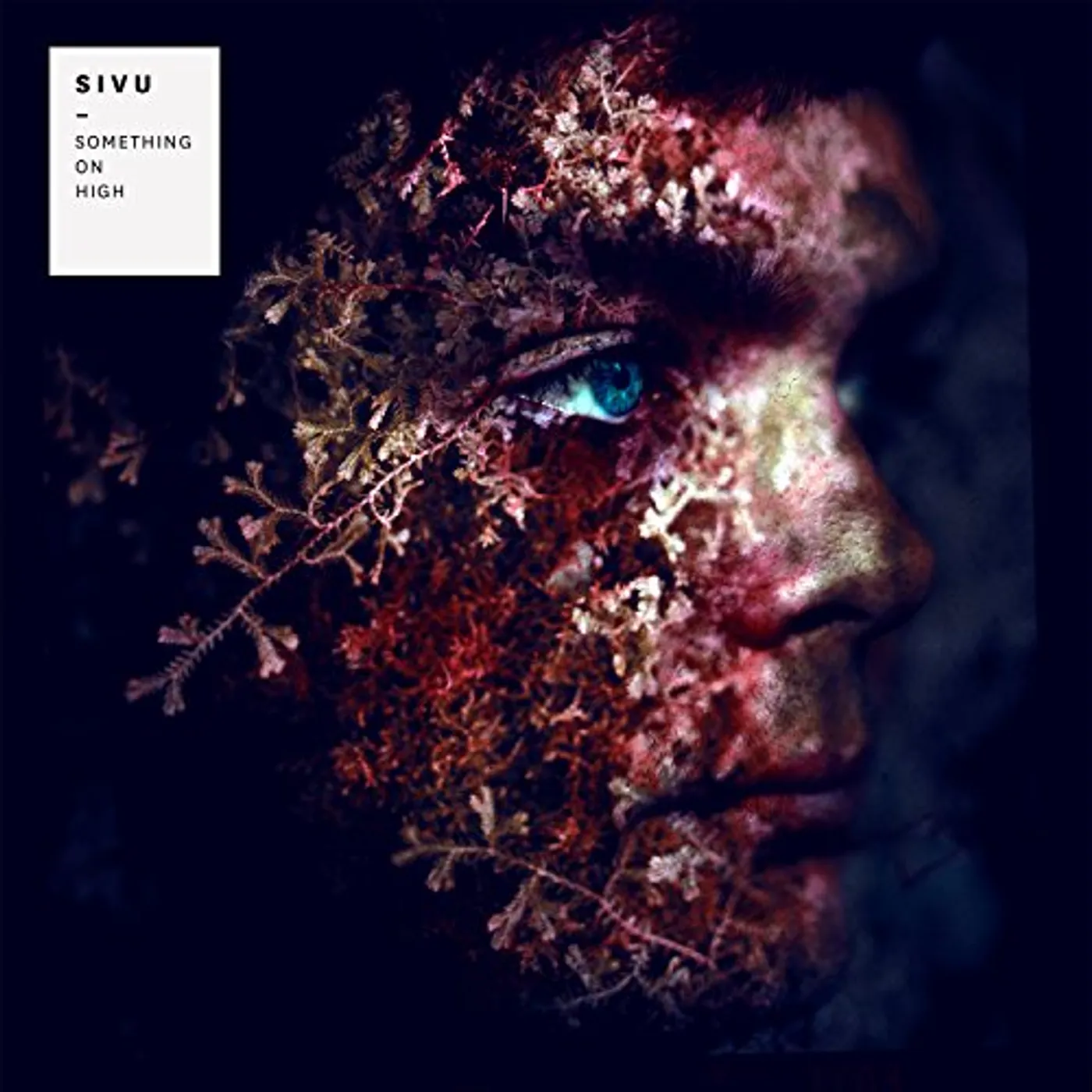 Sivu Something On High Vinyl Record