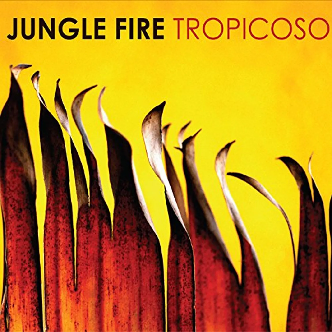 Jungle Fire TROPICOSO CD