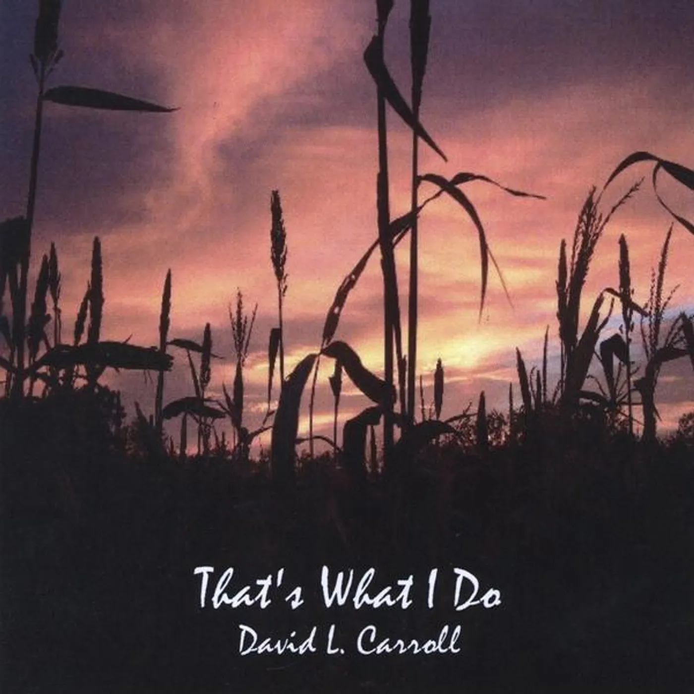 David Carroll THAT'S WHAT I DO CD