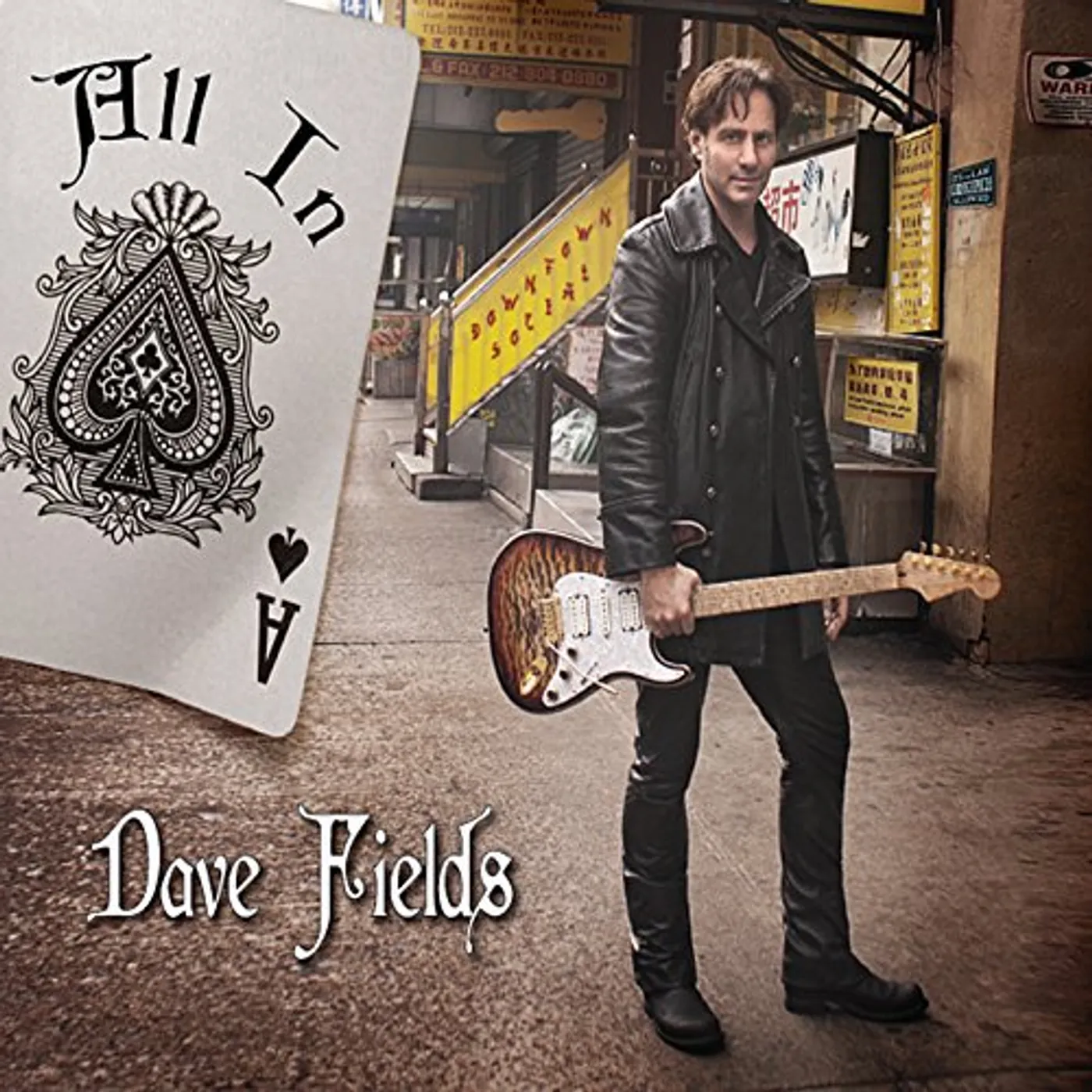Dave Fields ALL IN CD