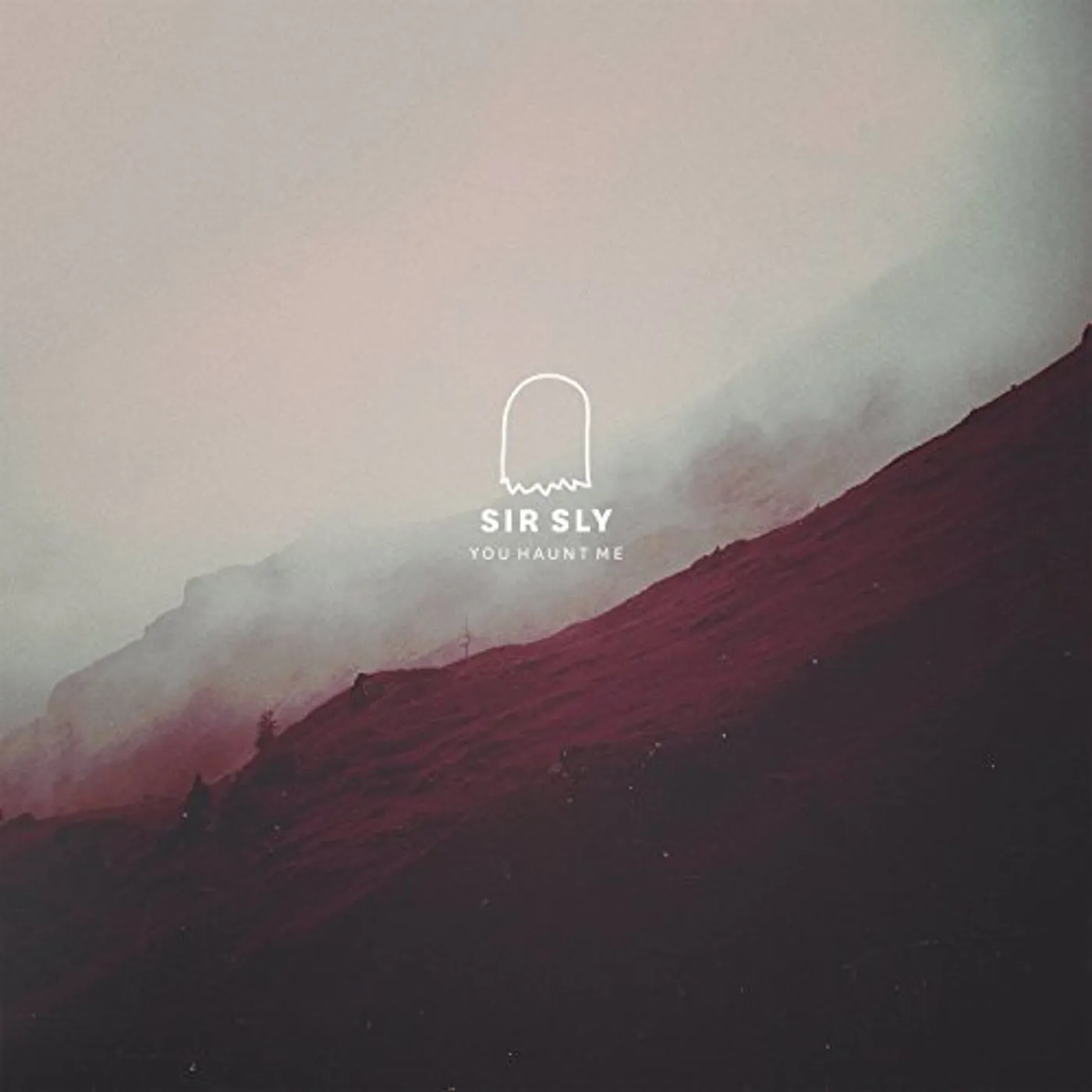 Sir Sly You Haunt Me Vinyl Record