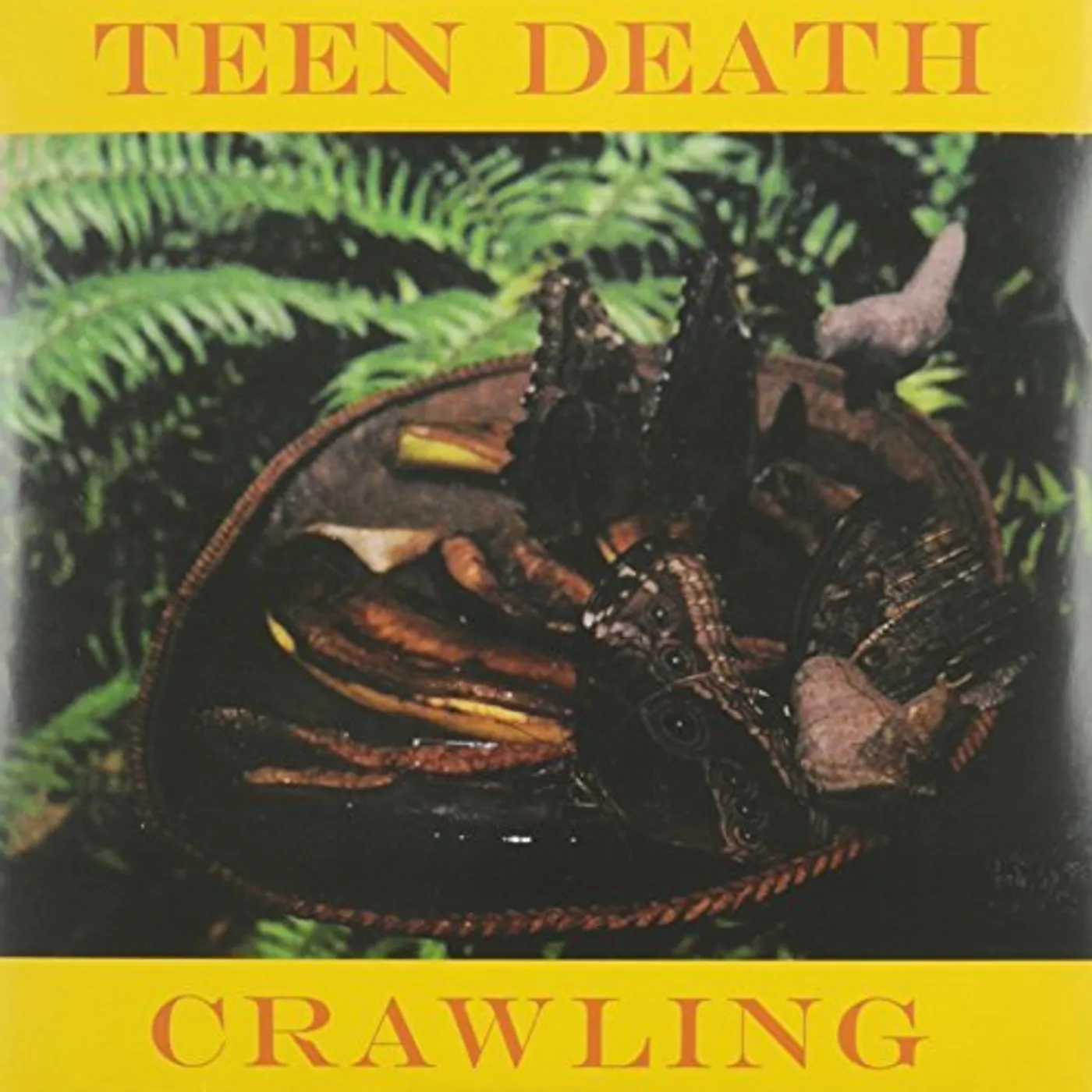 Teen Death Crawling Vinyl Record
