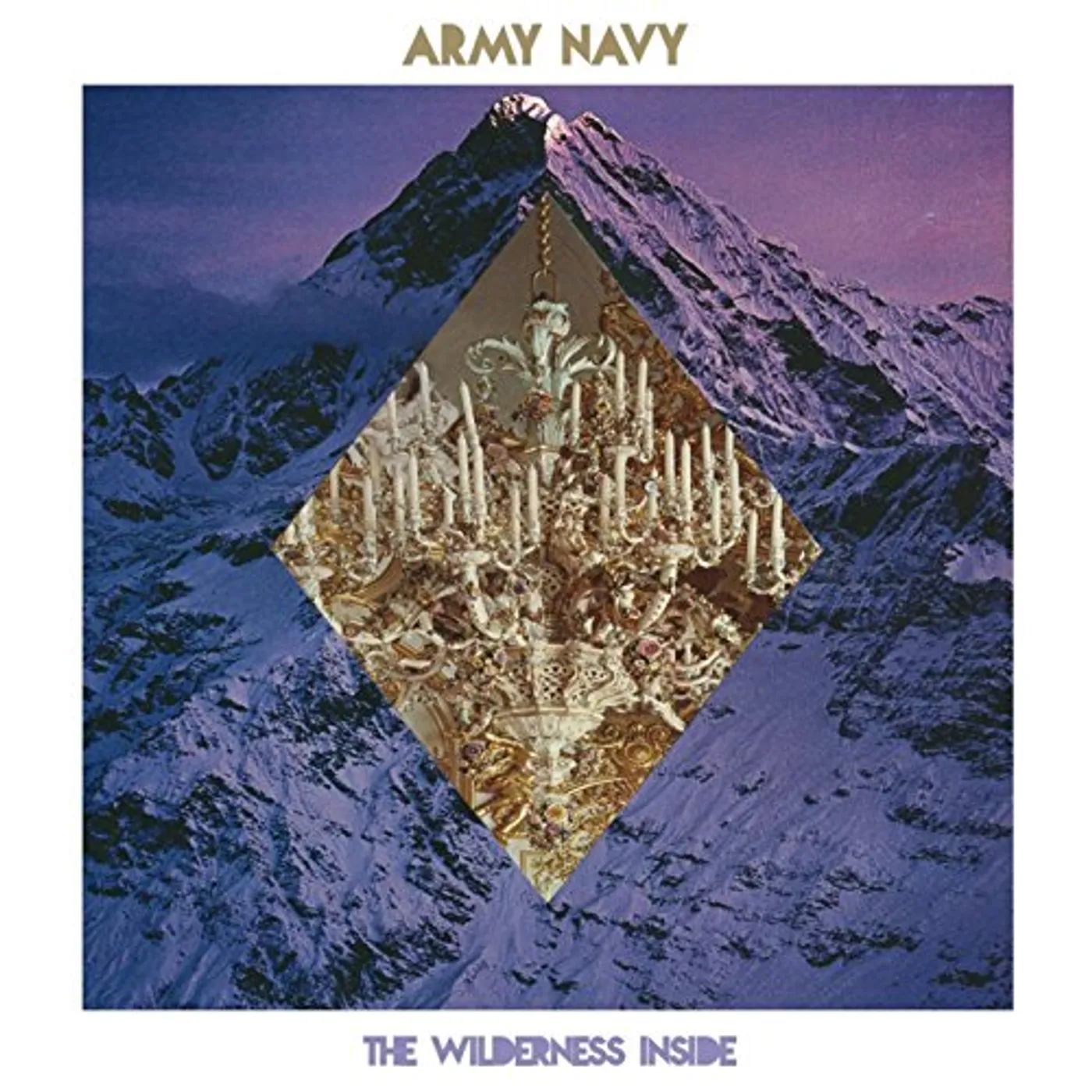 Army Navy WILDERNESS INSIDE CD