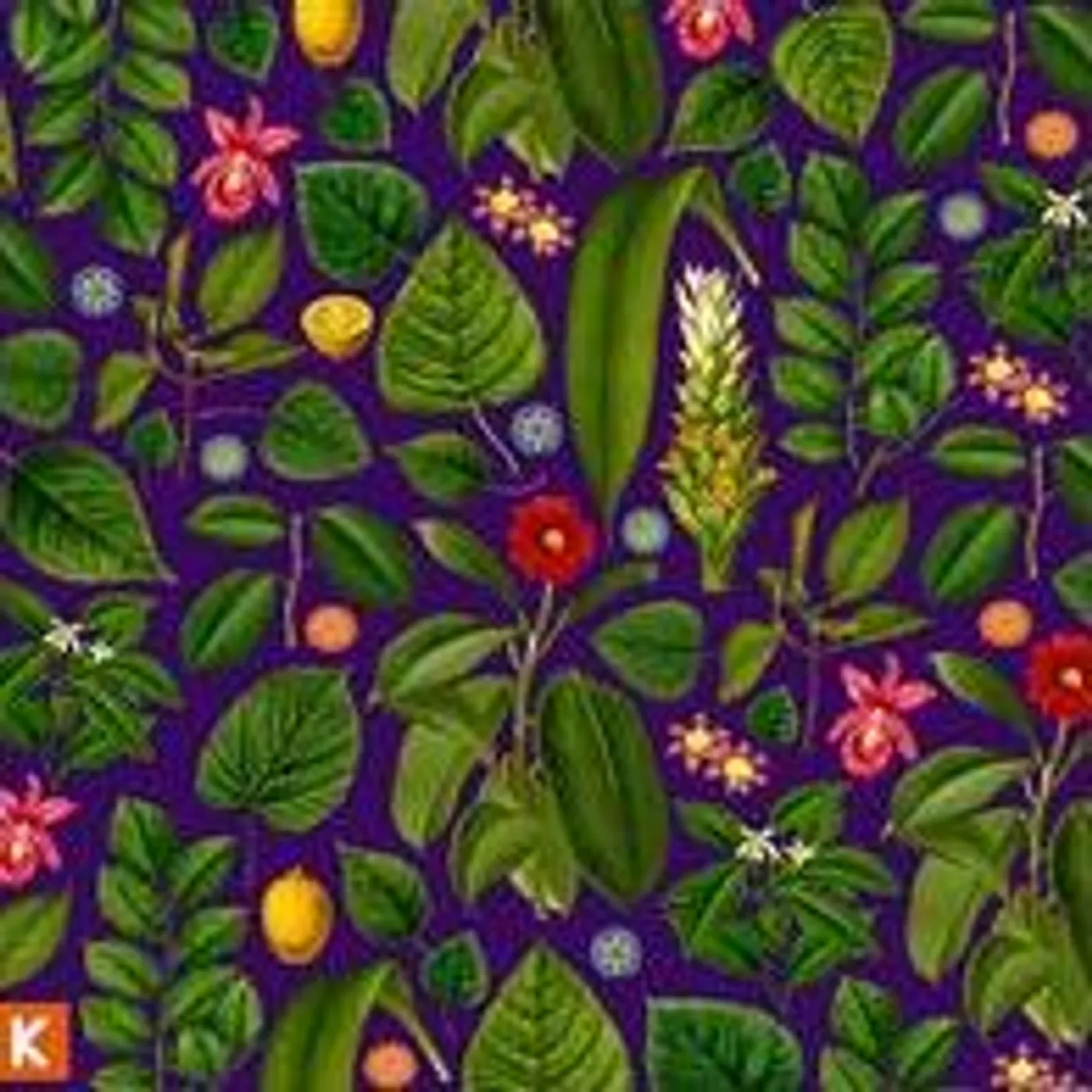 Kings Kaleidoscope BECOMING WHO WE ARE CD