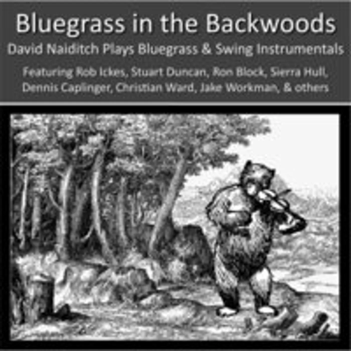 David Naiditch BLUEGRASS IN THE BACKWOODS CD
