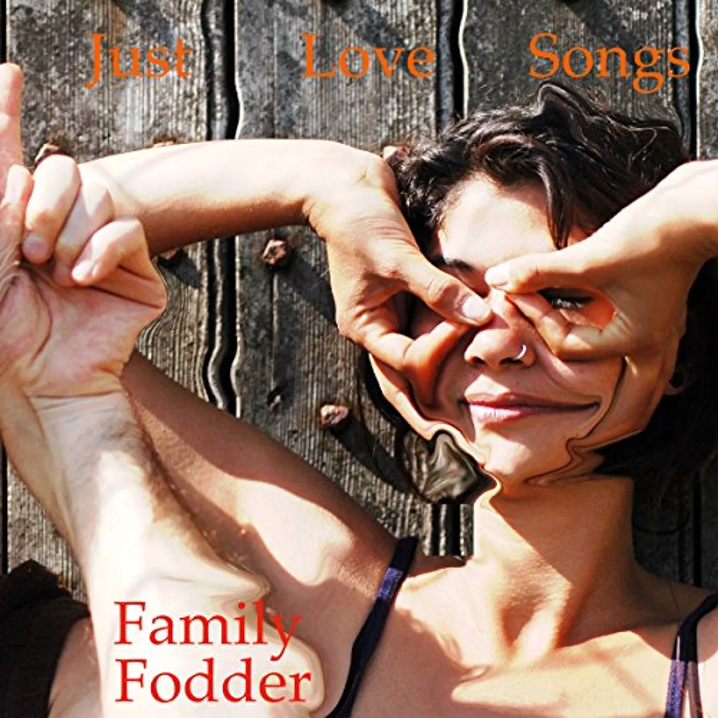 Family Fodder JUST LOVE SONGS Vinyl Record