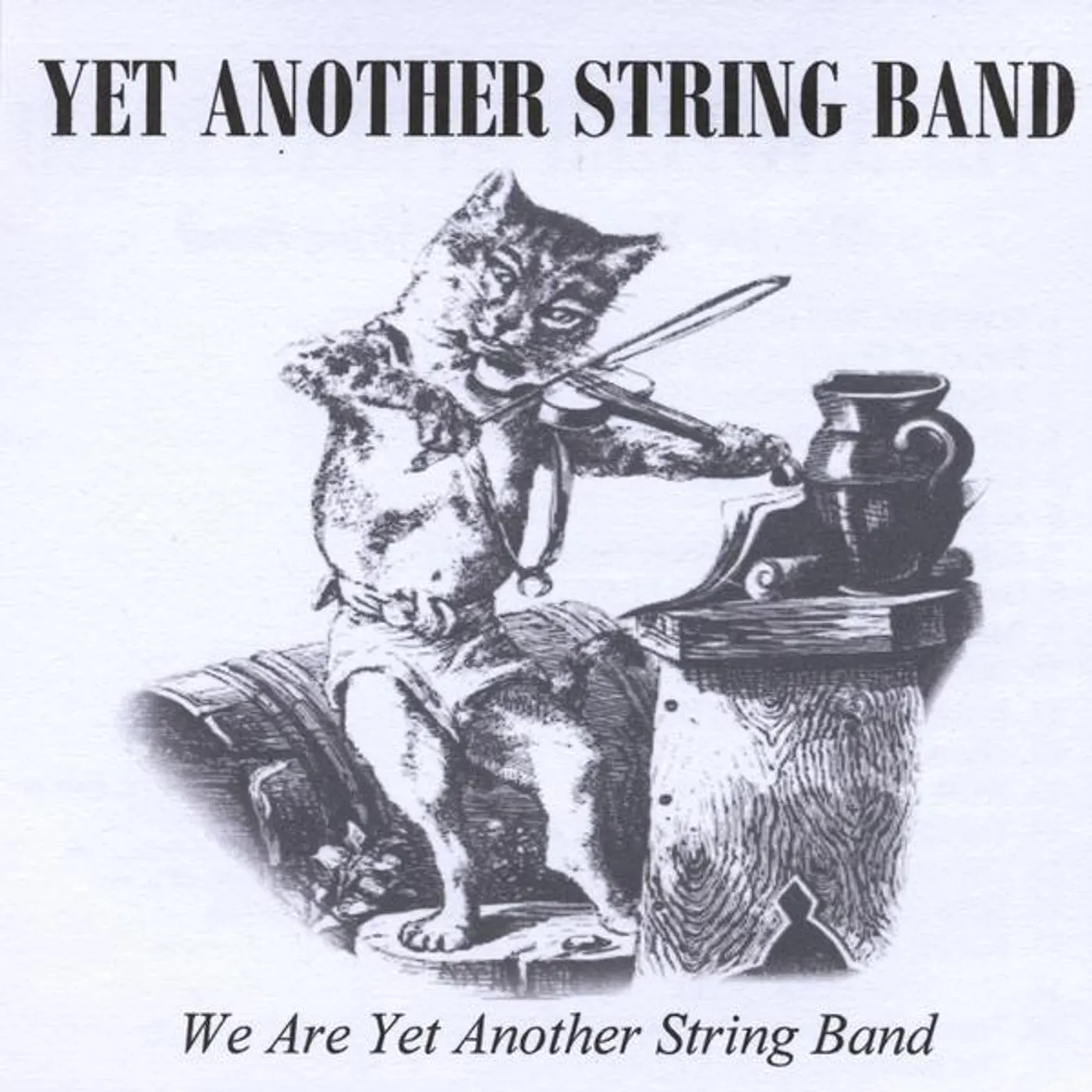 WE ARE YET ANOTHER STRING BAND CD