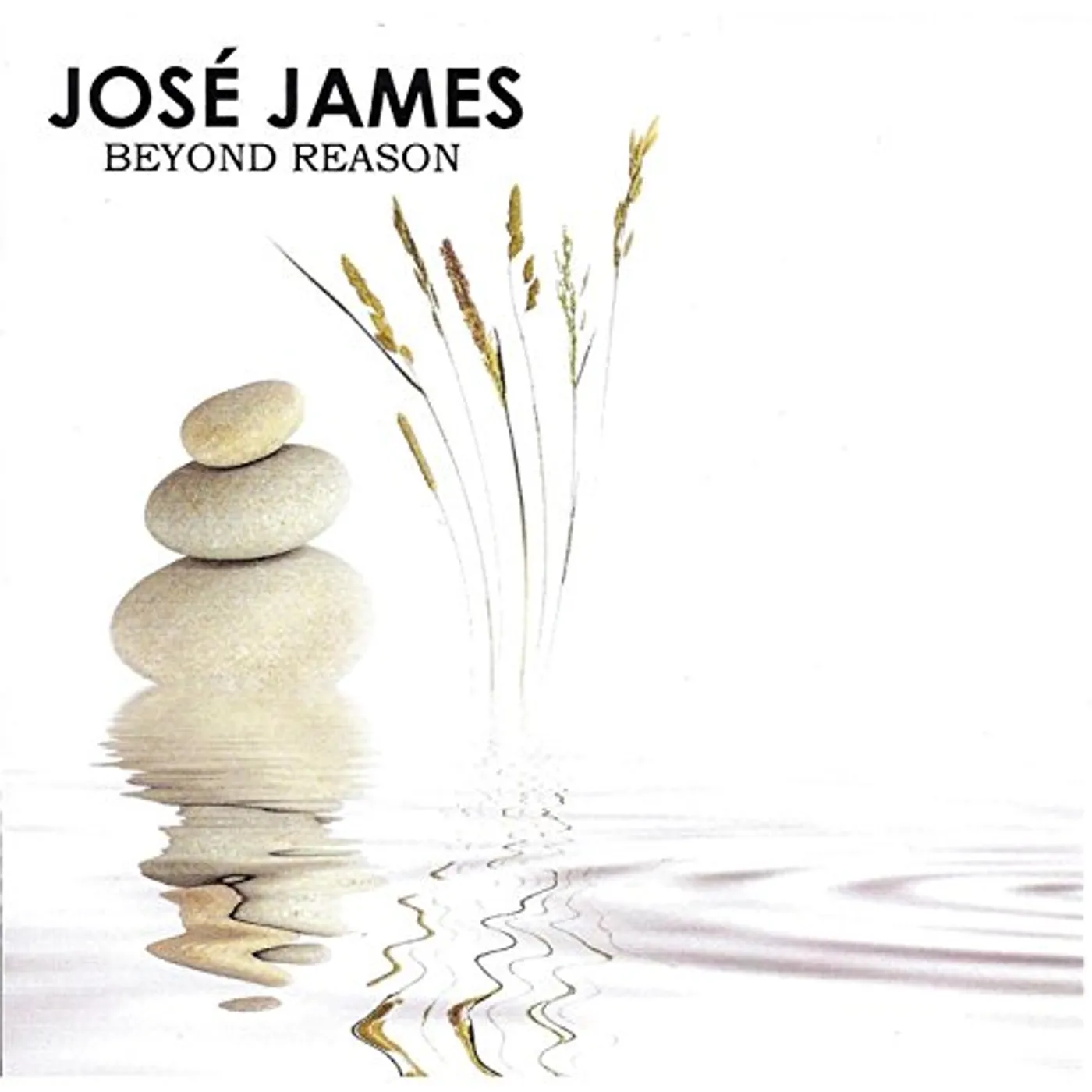 Jose James BEYOND REASON CD