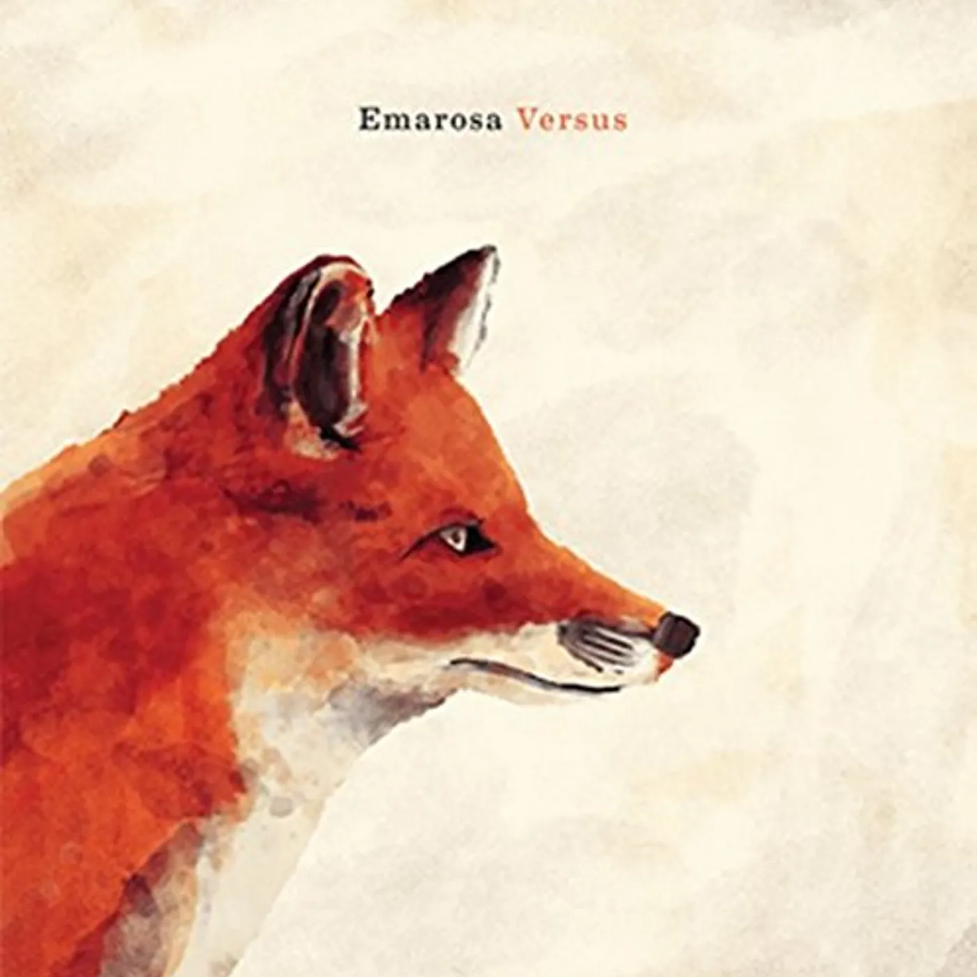 Emarosa Versus Vinyl Record