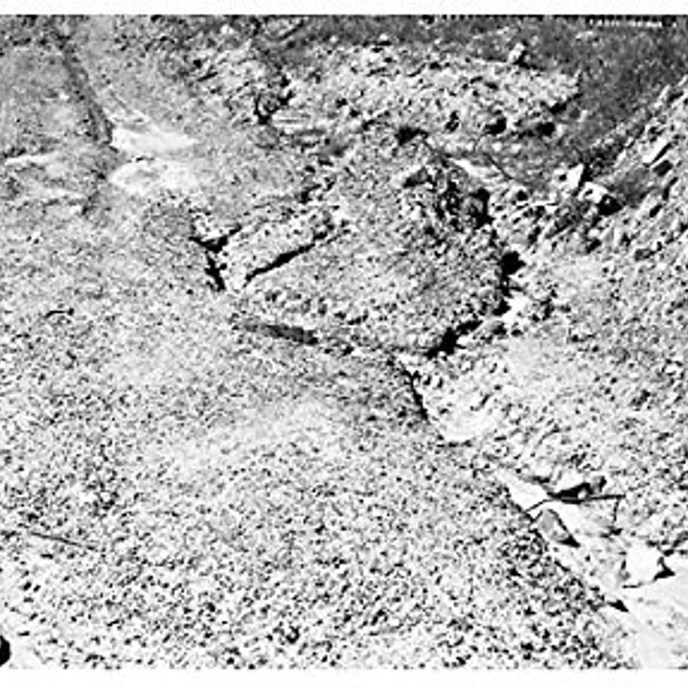 Daniel Bachman Grey-Black-Green Vinyl Record