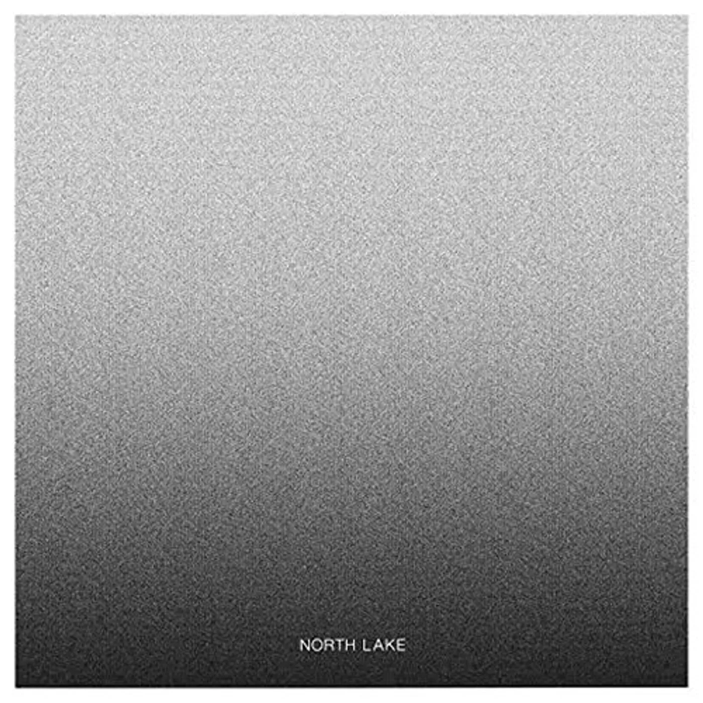 North Lake Flying in My Avrocar Vinyl Record