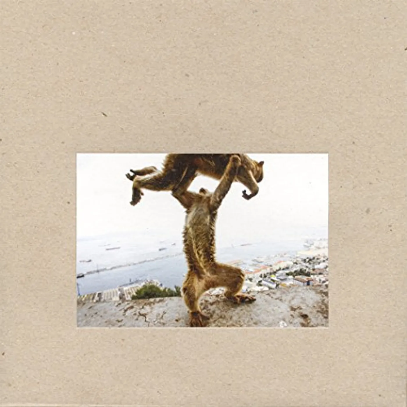 Shellac Dude Incredible Vinyl Record