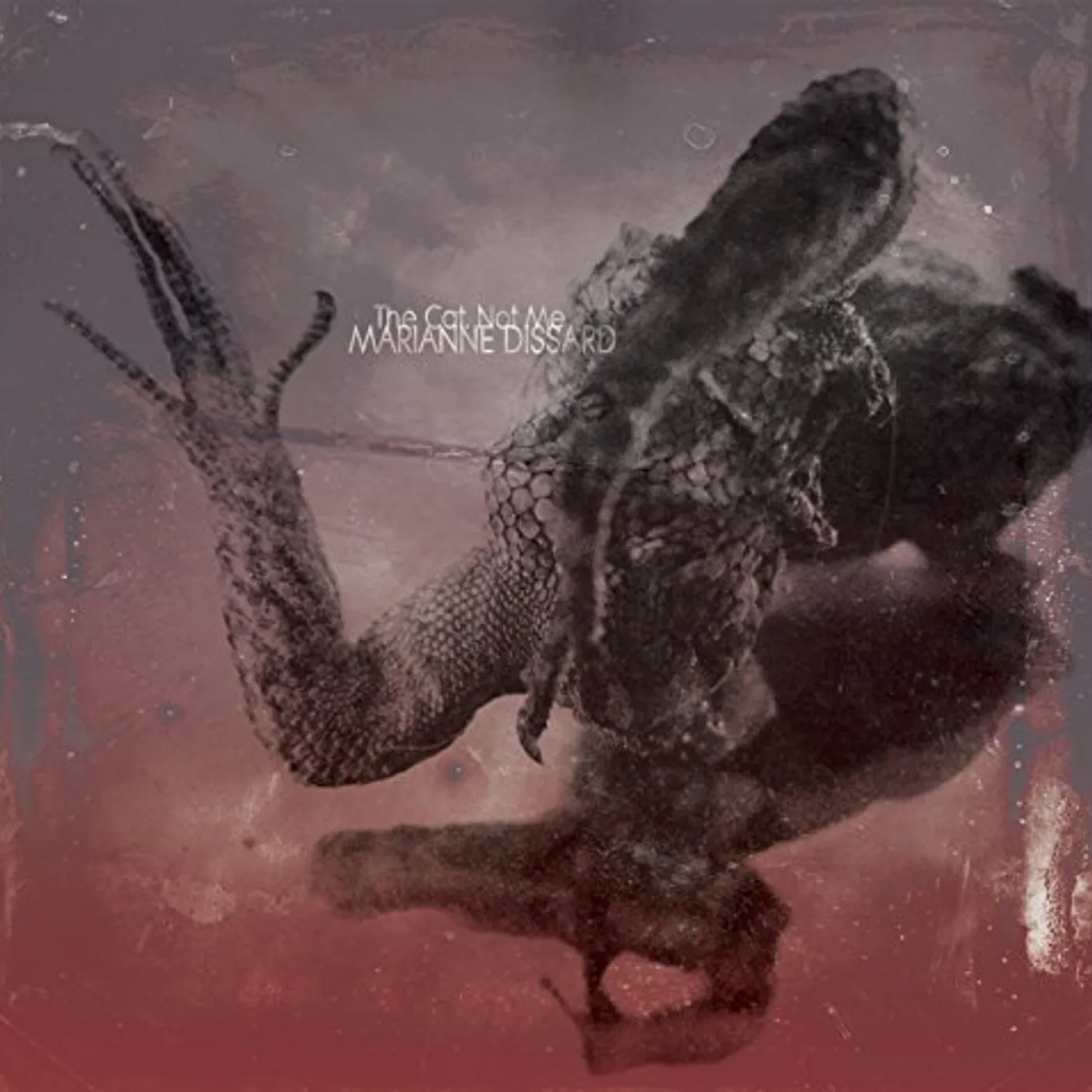 Marianne Dissard CAT. NOT ME Vinyl Record