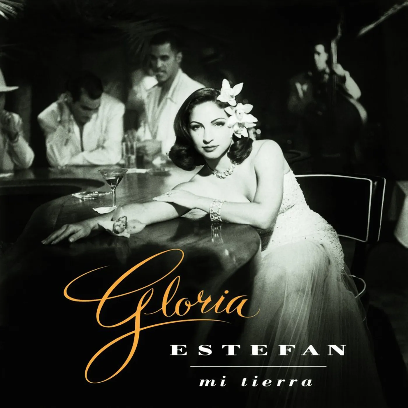 Gloria Estefan Mi Tierra Vinyl Record