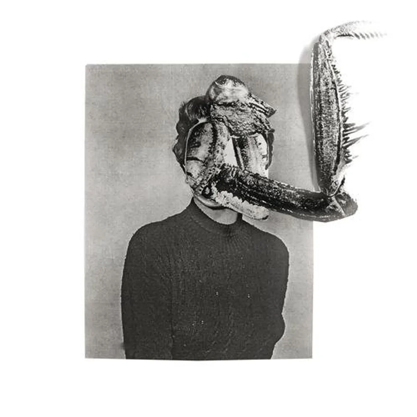 Obsidian Kingdom MANTIIS CD