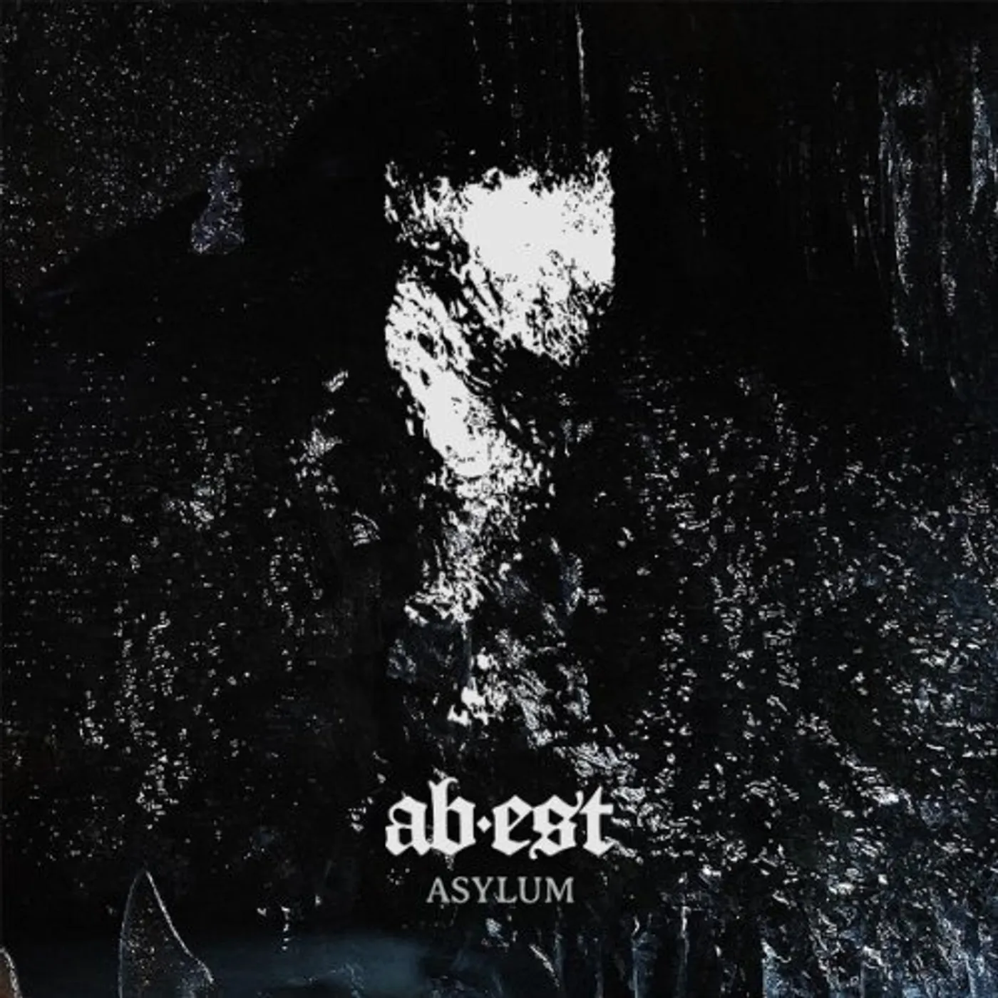 Abest Asylum Vinyl Record