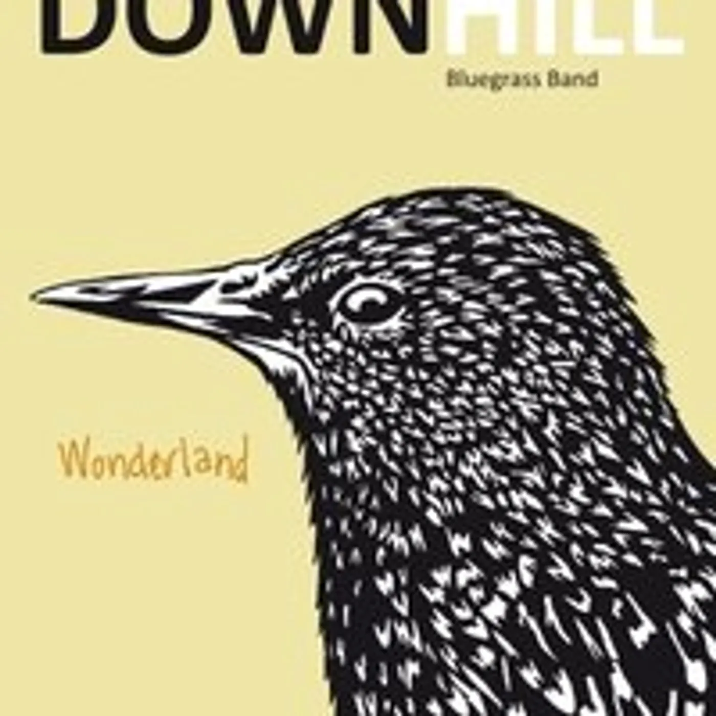 Downhill Bluegrass Band WONDERLAND CD