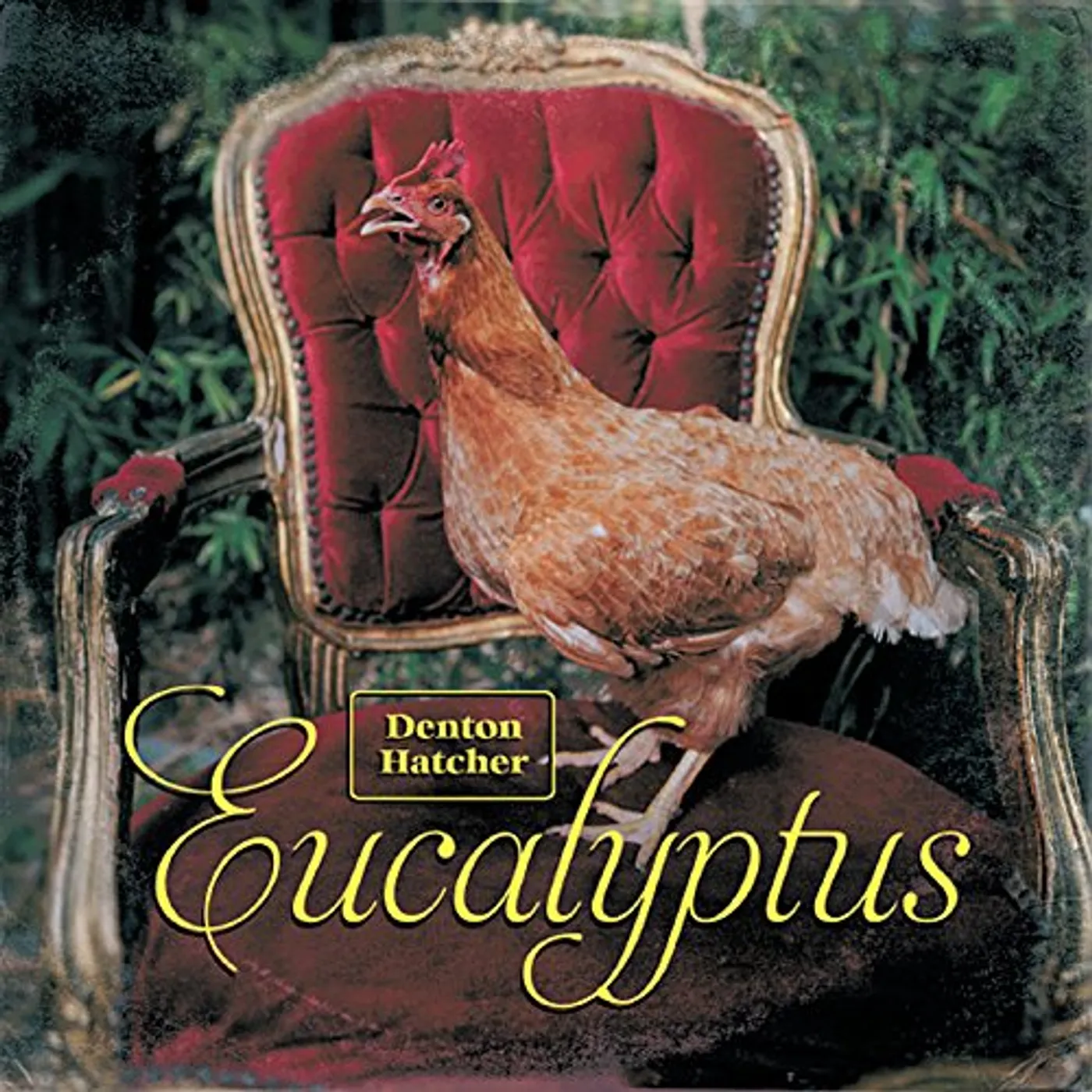 Denton Hatcher EUCALYPTUS CD